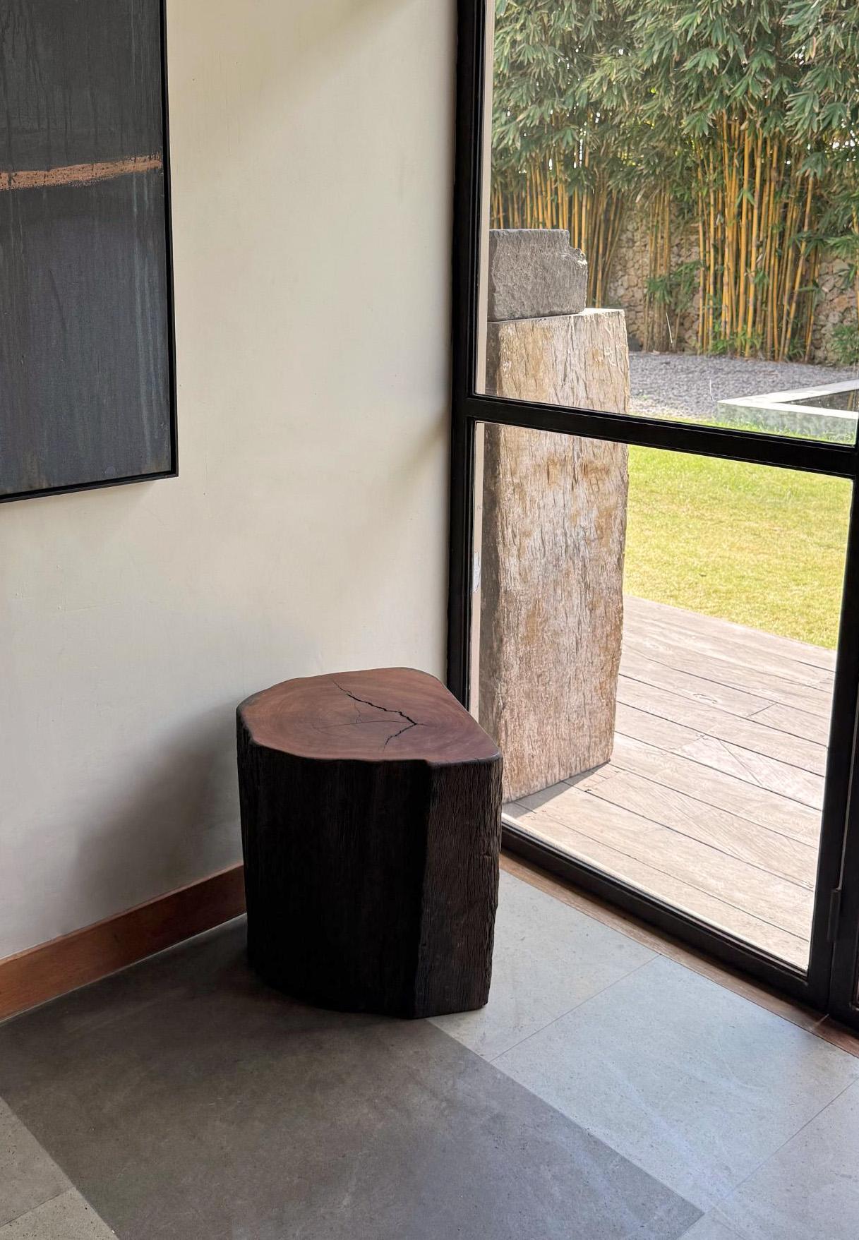 Crafted from resilient ulin wood—also known as Bornean ironwood—this side table is a true statement of natural elegance and durability. Its refined, sculptural form highlights the wood’s organic texture, with flowing grain patterns and rich tonal