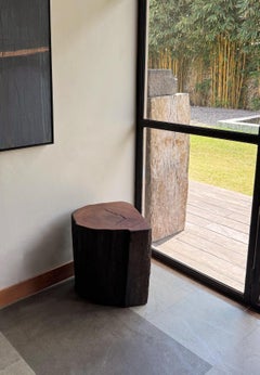 Sculptural Side Table Crafted from Ulin Iron Wood, Modern Organic