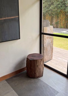 Sculptural Side Table Crafted from Ulin Iron Wood, Modern Organic