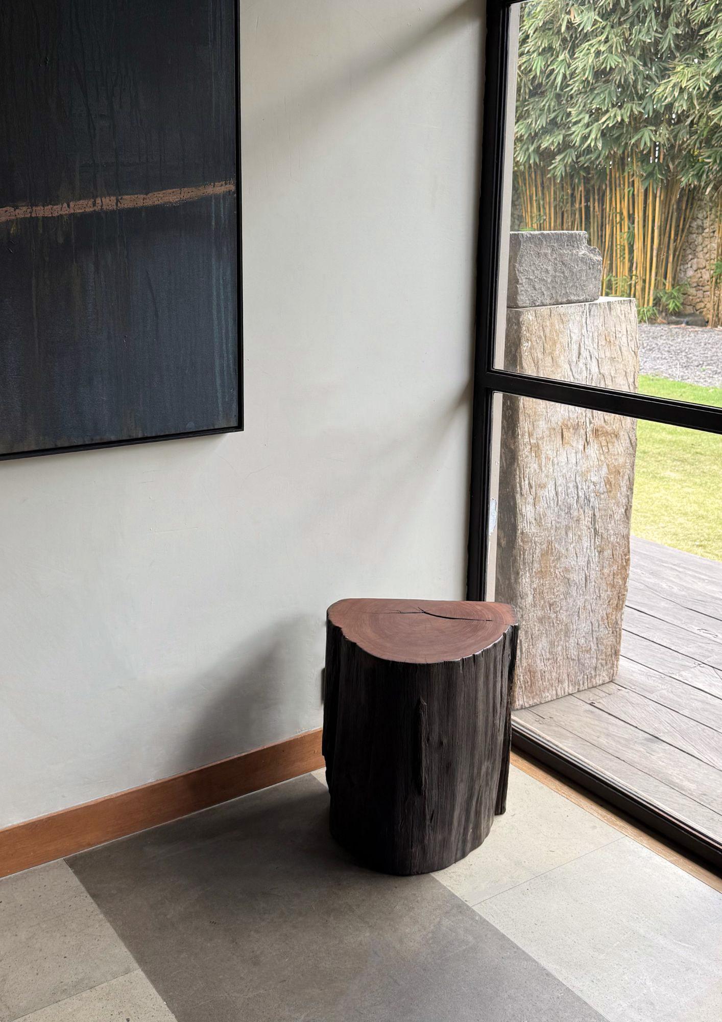 Crafted from resilient ulin wood—also known as Bornean ironwood—this side table is a true statement of natural elegance and durability. Its refined, sculptural form highlights the wood’s organic texture, with flowing grain patterns and rich tonal