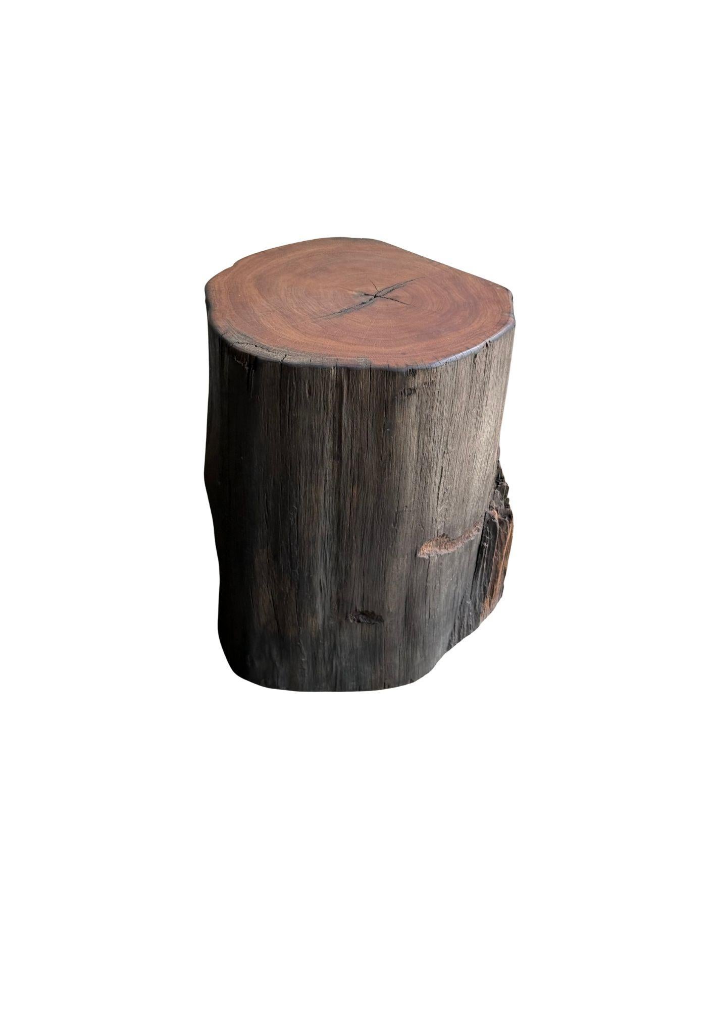 Hand-Crafted Sculptural Side Table Crafted from Ulin Iron Wood, Modern Organic For Sale