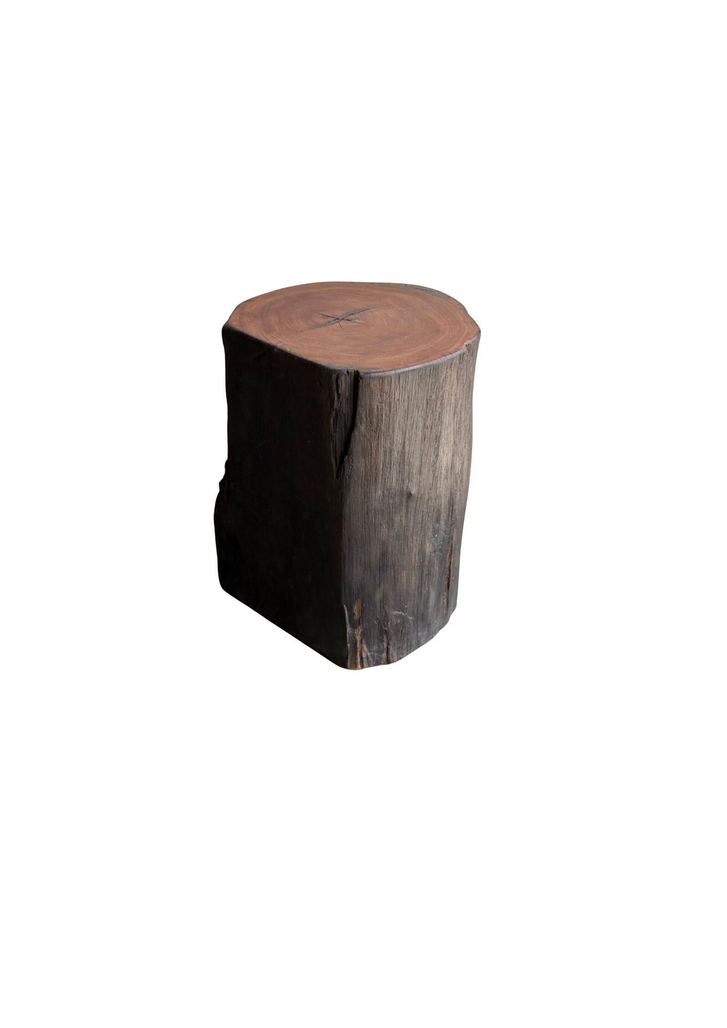 Sculptural Side Table Crafted from Ulin Iron Wood, Modern Organic For Sale 1