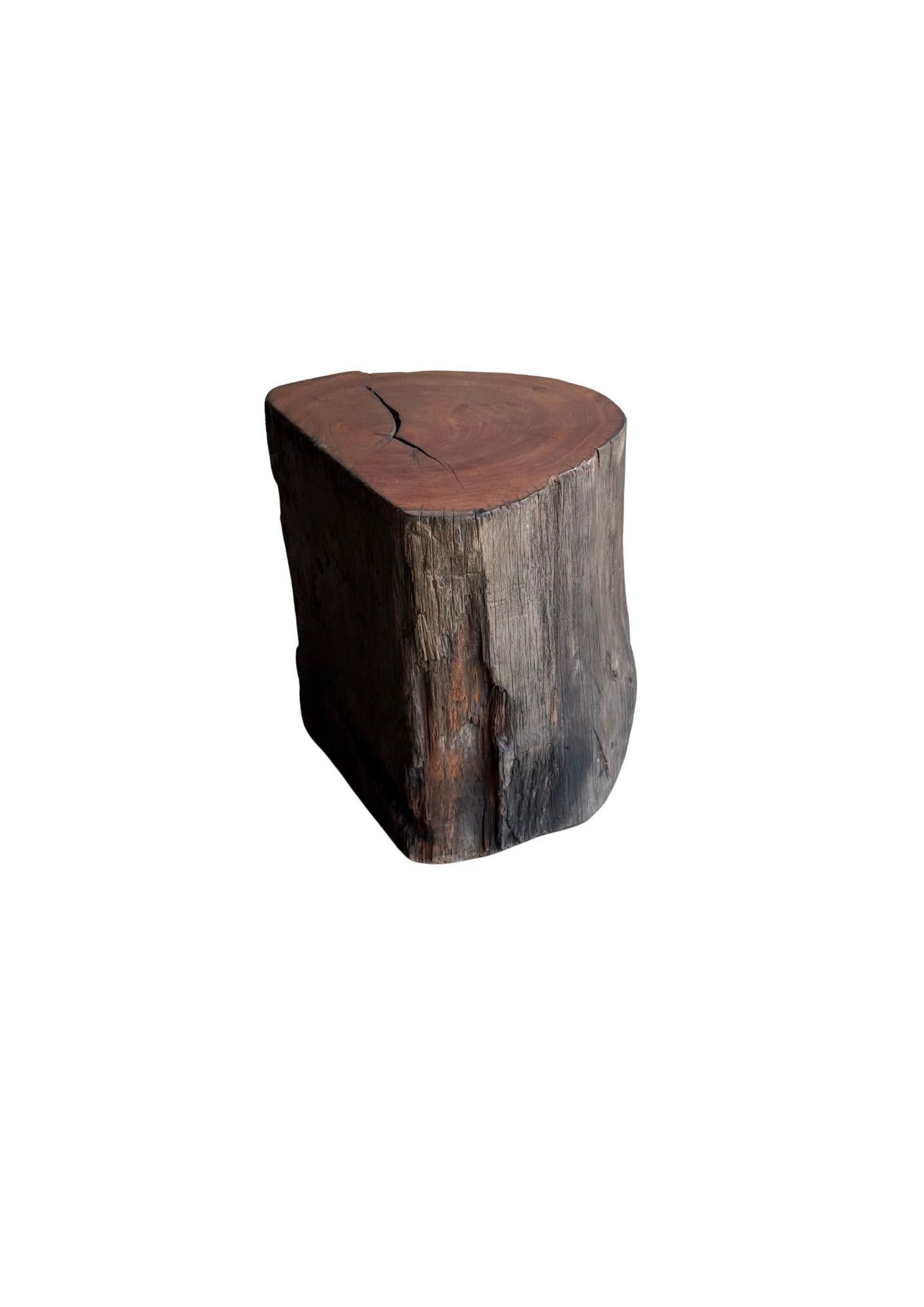 Sculptural Side Table Crafted from Ulin Iron Wood, Modern Organic For Sale 1