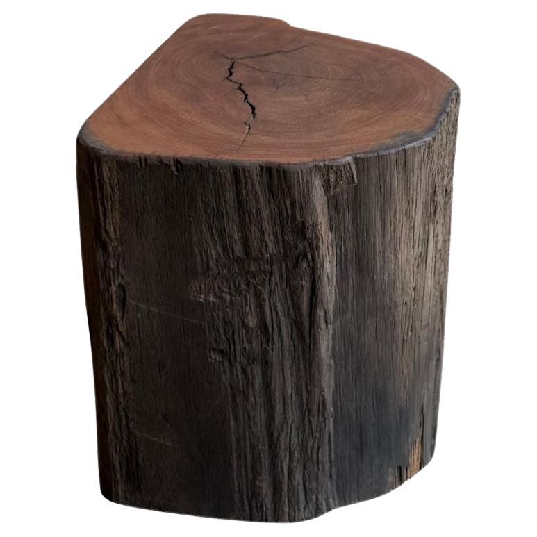 Sculptural Side Table Crafted from Ulin Iron Wood, Modern Organic For Sale