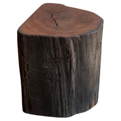 Sculptural Side Table Crafted from Ulin Iron Wood, Modern Organic