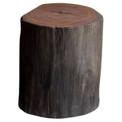 Sculptural Side Table Crafted from Ulin Iron Wood, Modern Organic