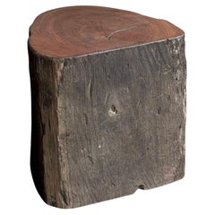 Sculptural Side Table Crafted from Ulin Iron Wood, Modern Organic