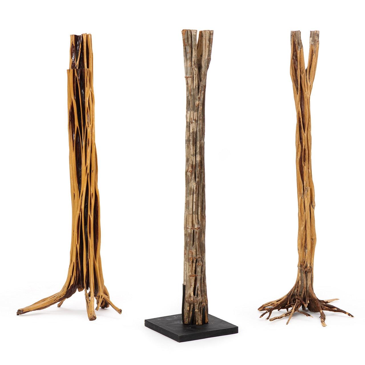 Una bella y expresiva escultura exenta de árbol de madera dura tropical, con superficies estriadas y muy texturadas y formas evocadoras. Secciones variables en cocobolo y lignum vitae. Precio por árbol.