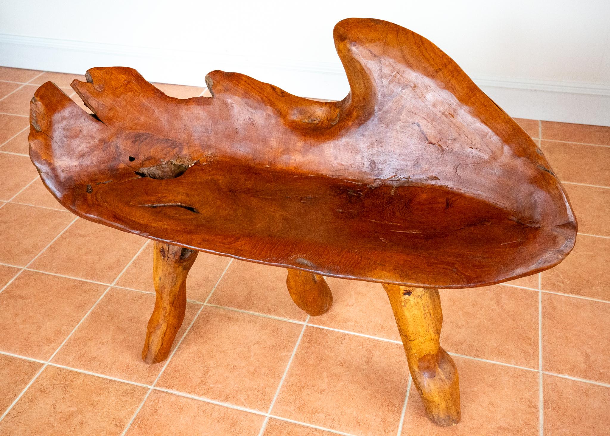 Skulpturale Statement Bank Teak Roots Natural Organic Artistic Holz Rustikal MCM im Angebot 9