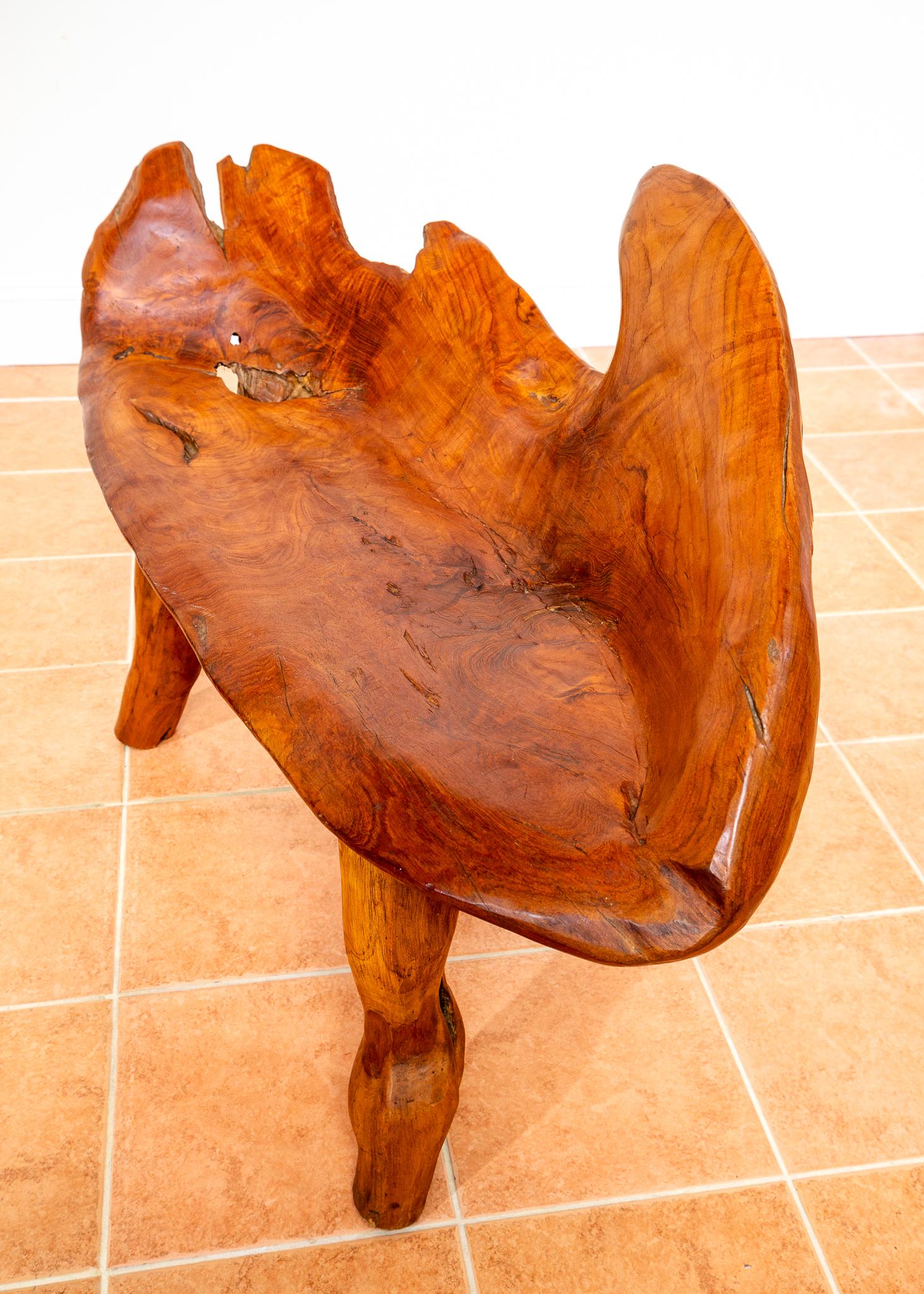 Skulpturale Statement Bank Teak Roots Natural Organic Artistic Holz Rustikal MCM (Teakholz) im Angebot