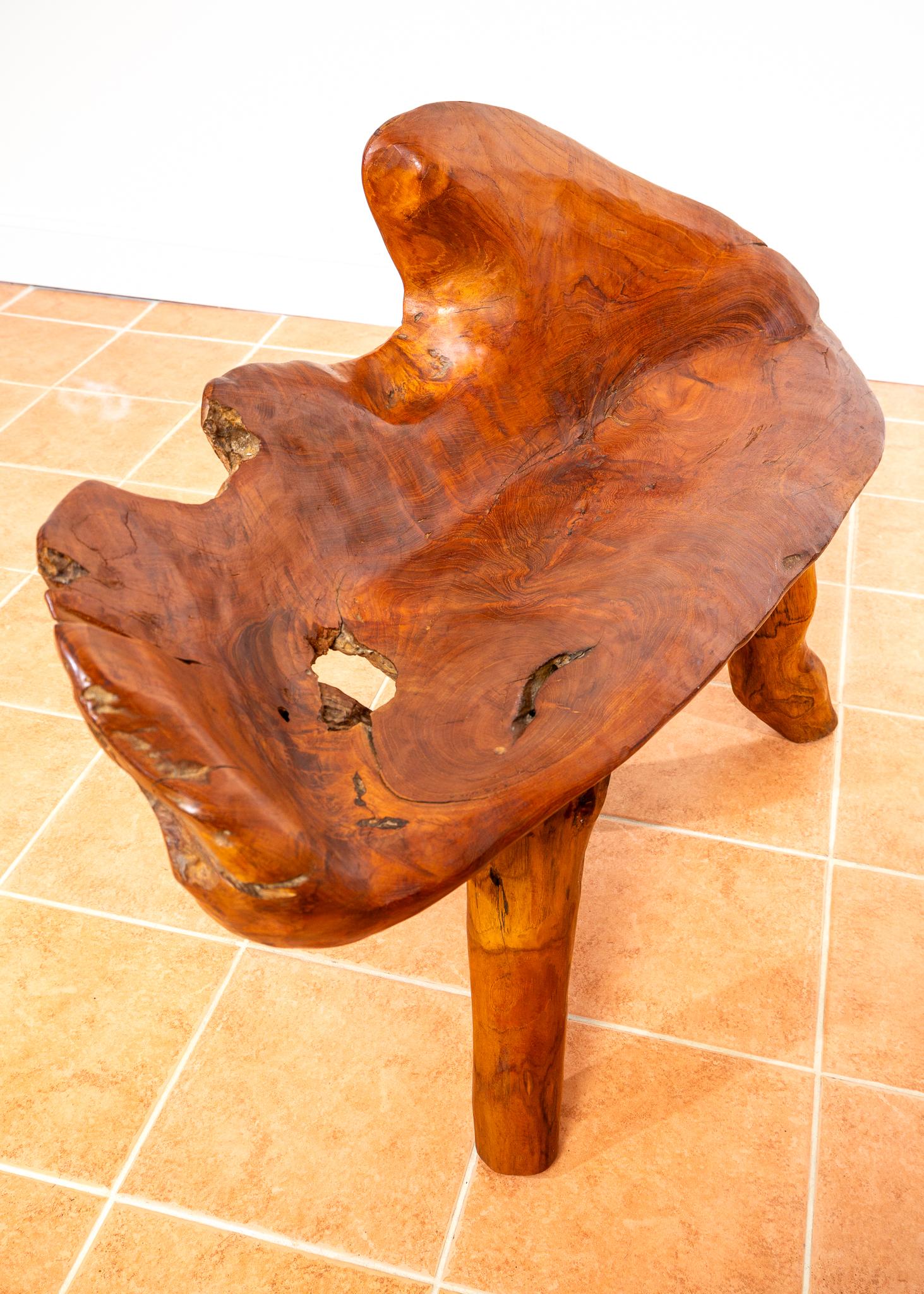 Skulpturale Statement Bank Teak Roots Natural Organic Artistic Holz Rustikal MCM im Angebot 1
