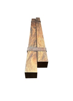 Sculptural Suar Wood Bench with Steel legs, Modern Organic