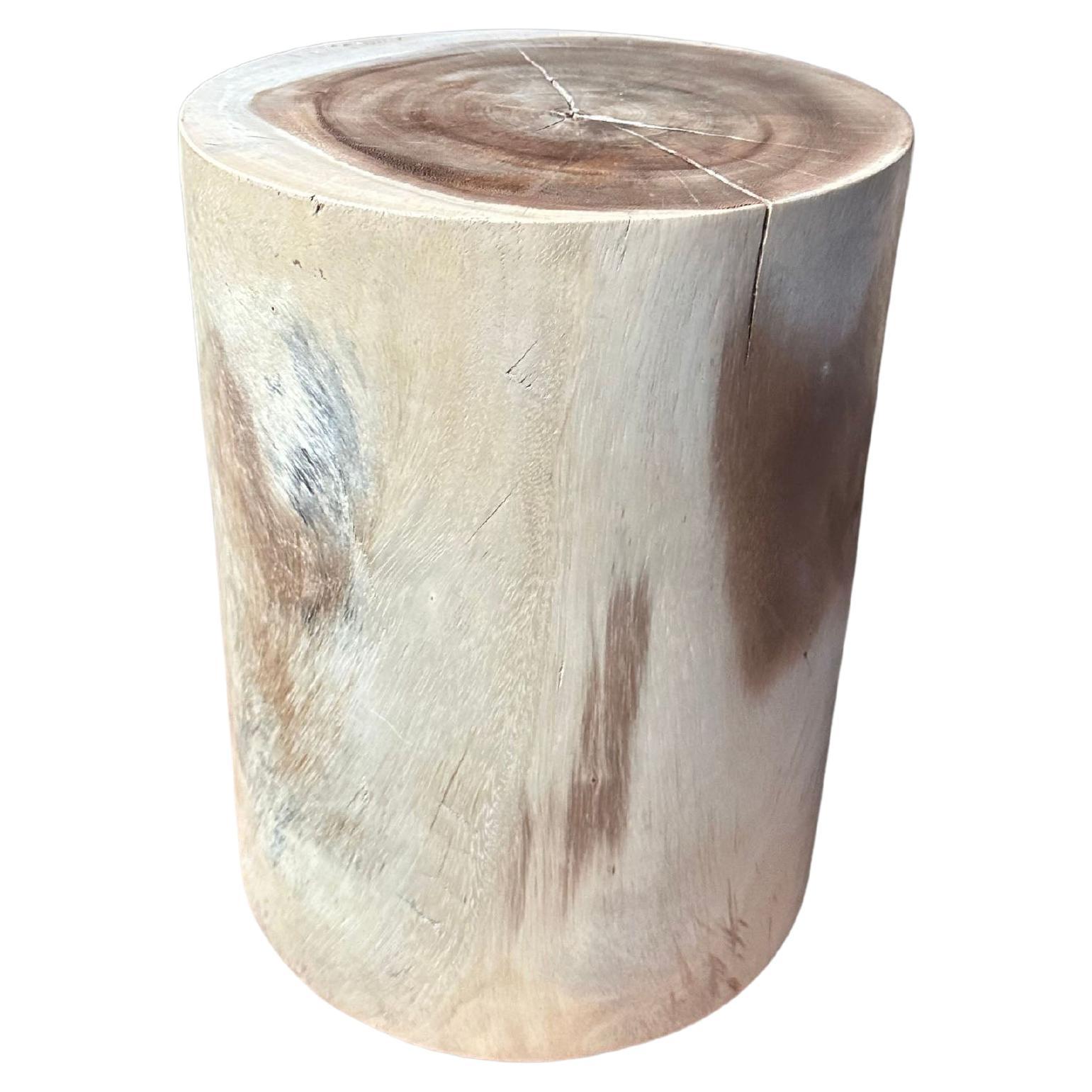 Sculptural Suar Wood Side Table, Hand-Crafted Modern Organic