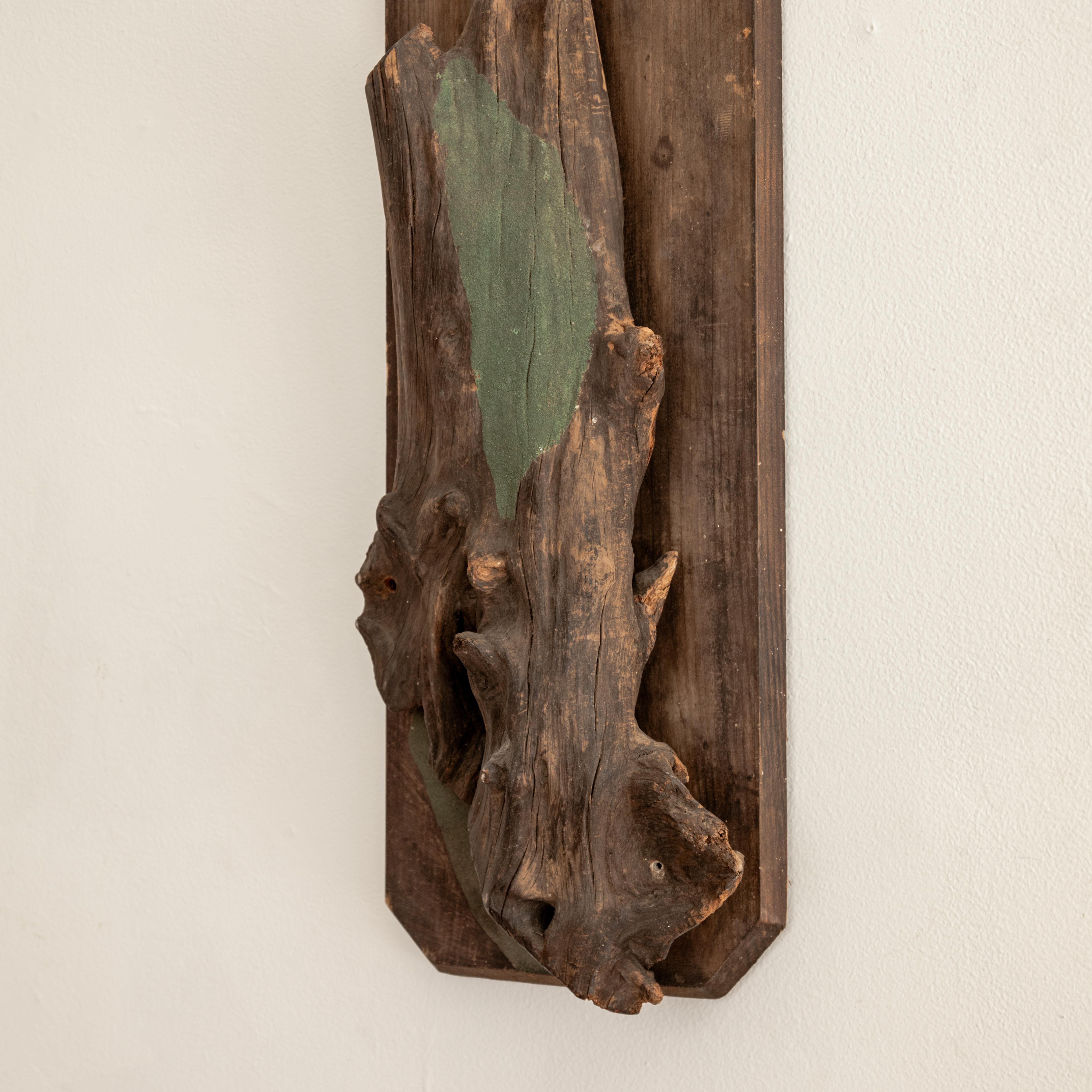 Montura escultórica para taxidermia Madera en venta