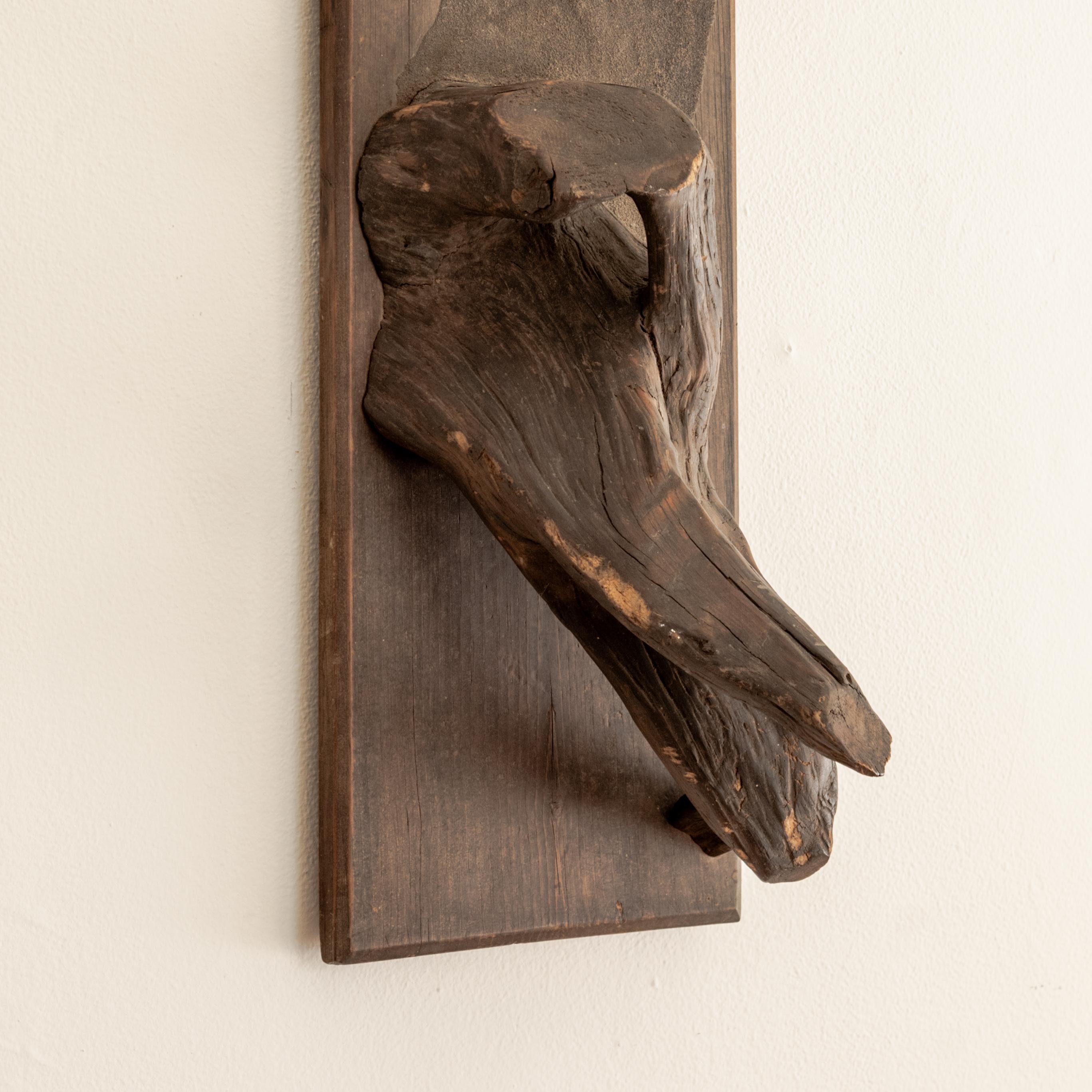 Bois Monture de taxidermie sculpturale en vente