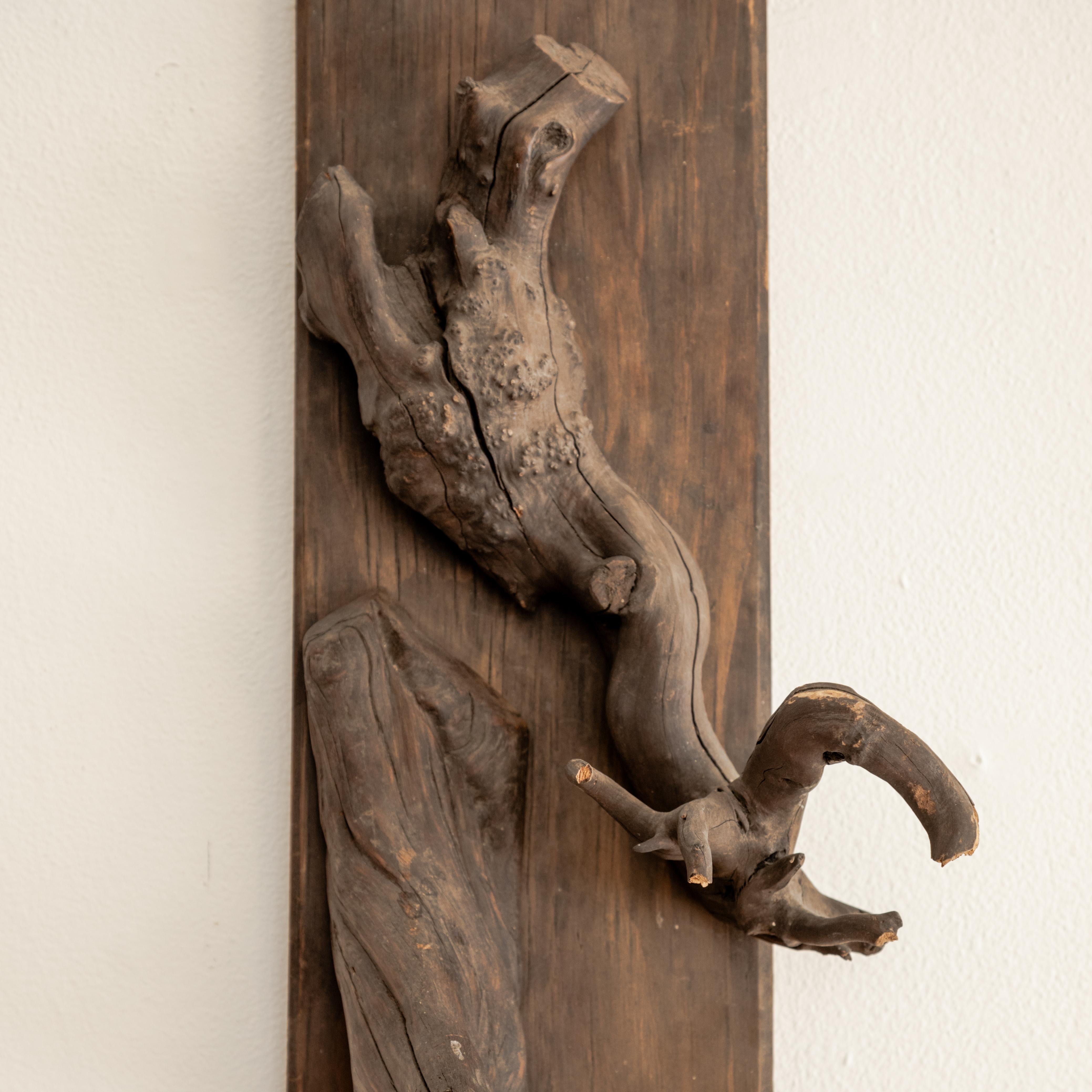 Monture de taxidermie sculpturale 1