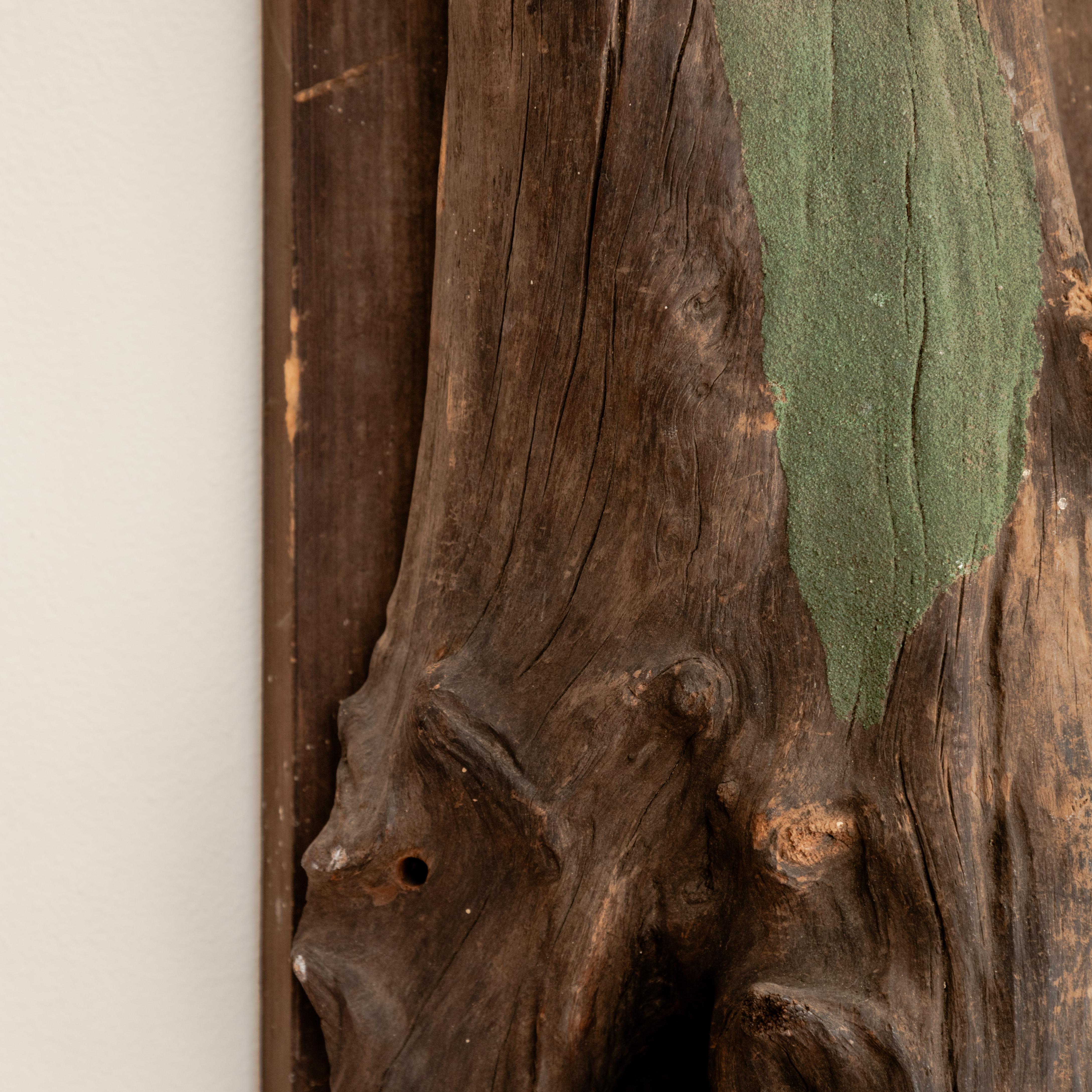 Montura escultórica para taxidermia en venta 2