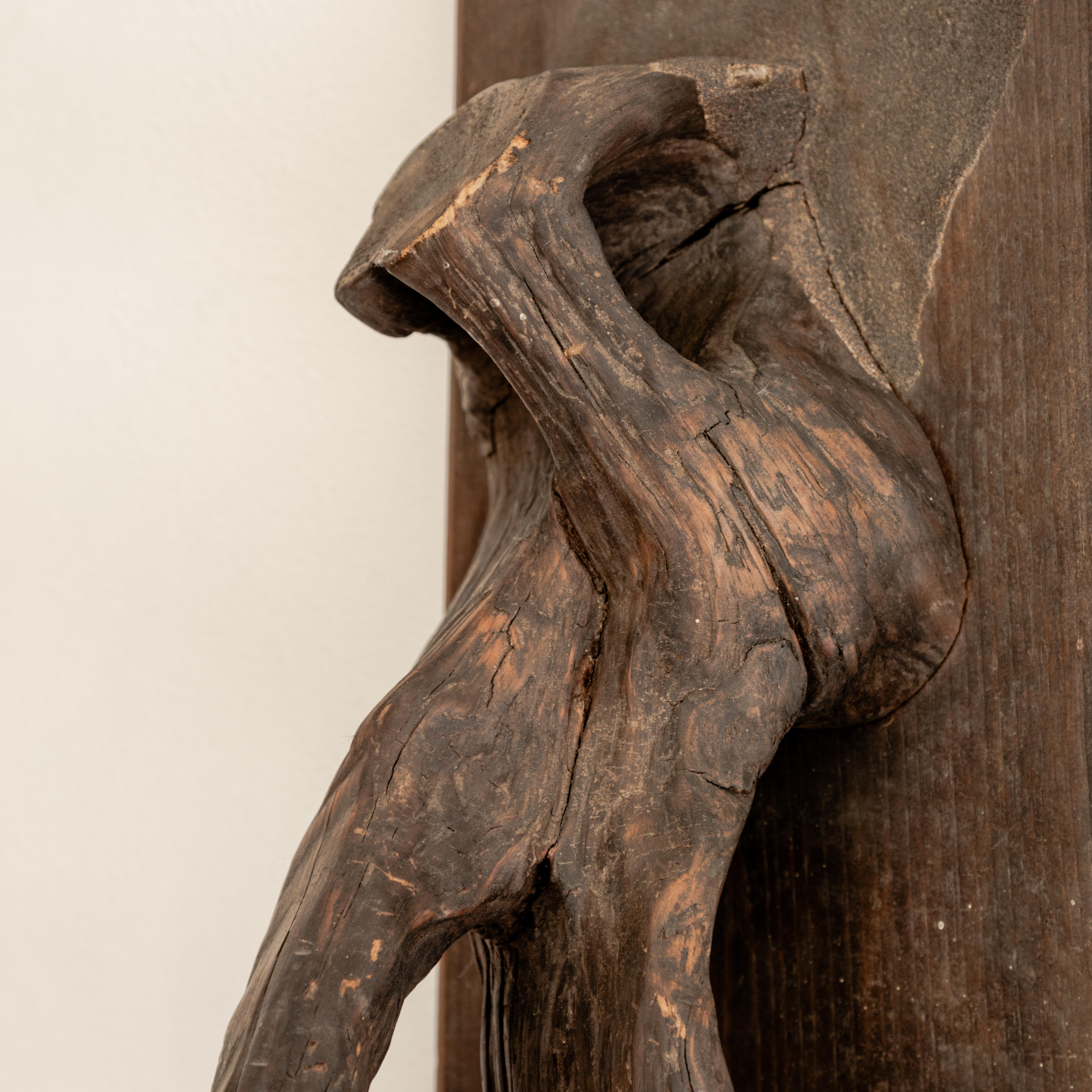 Monture de taxidermie sculpturale en vente 2