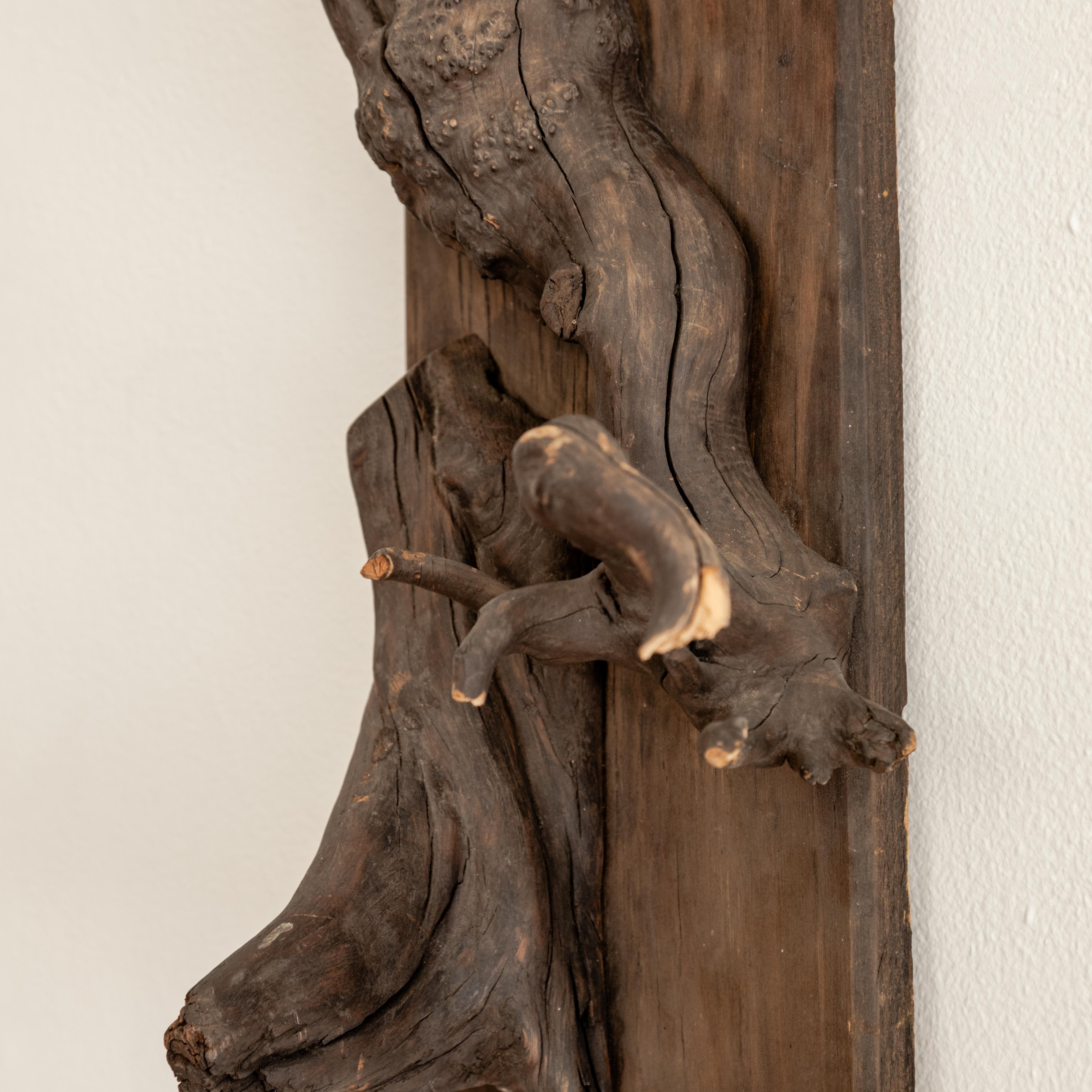 Monture de taxidermie sculpturale 2