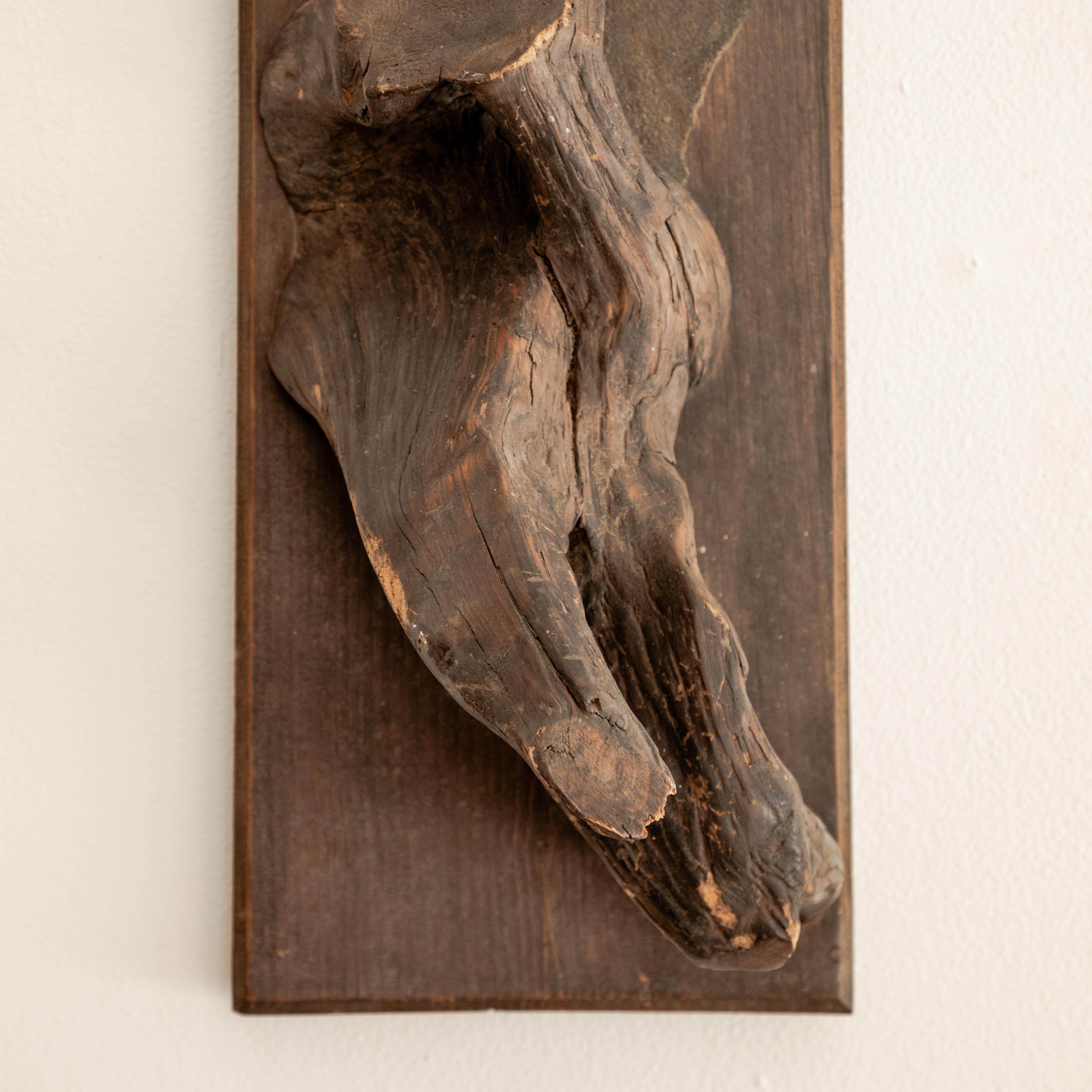 Monture de taxidermie sculpturale en vente 3