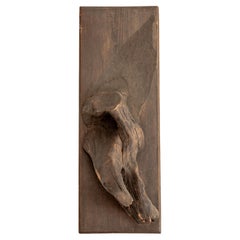 Monture de taxidermie sculpturale