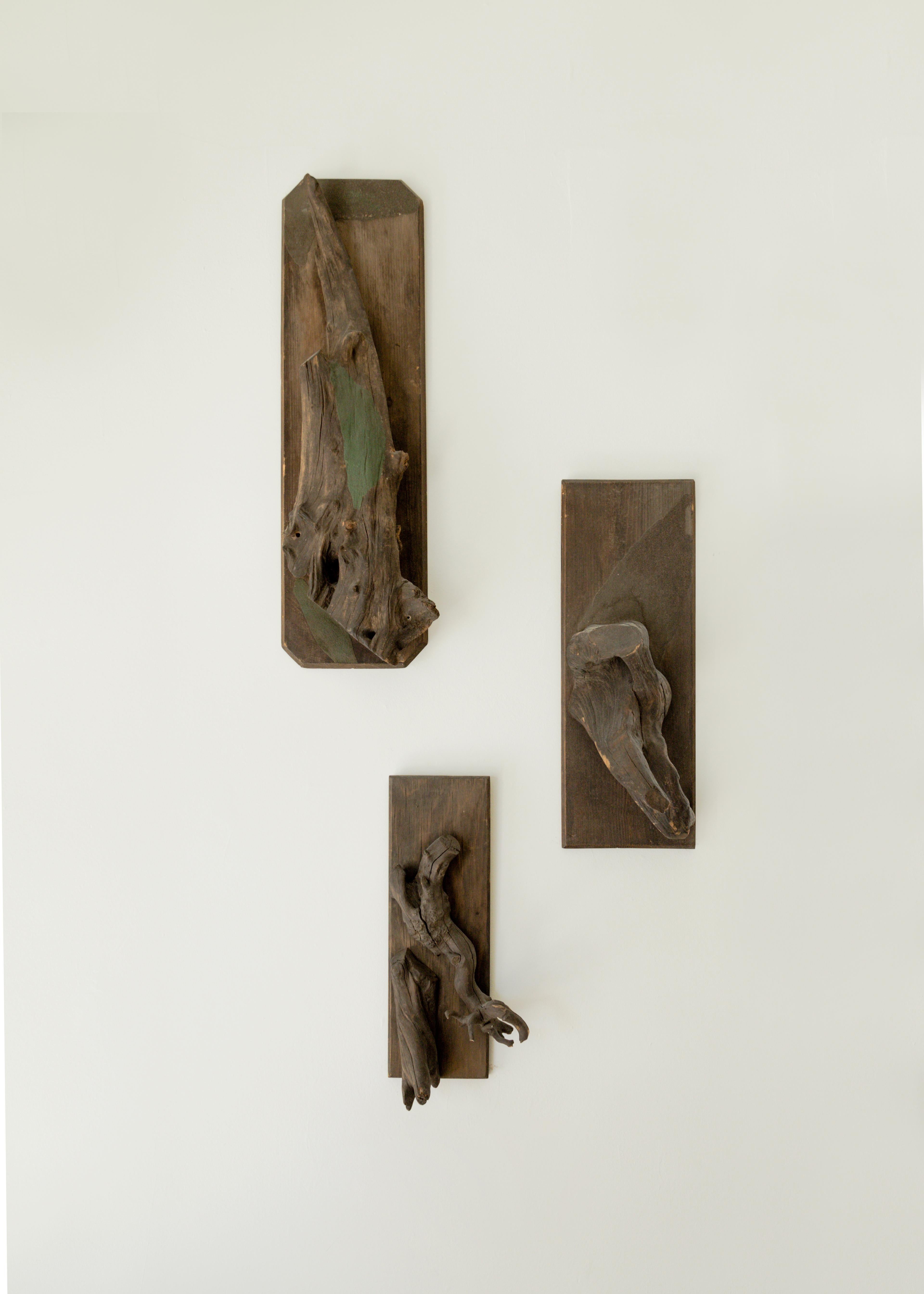 Skulpturale Taxidermie-Beschläge (20. Jahrhundert) im Angebot
