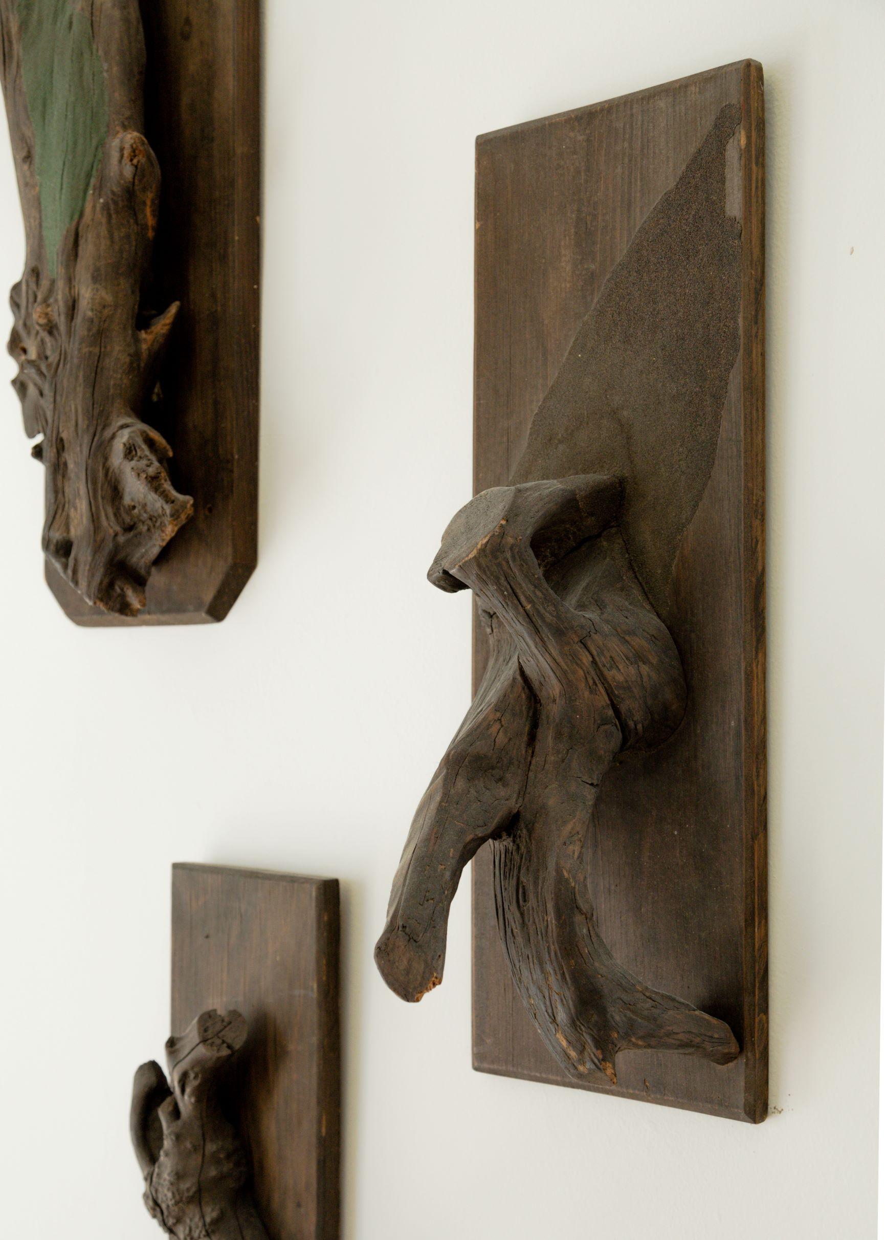 Skulpturale Taxidermie-Beschläge (Holz) im Angebot