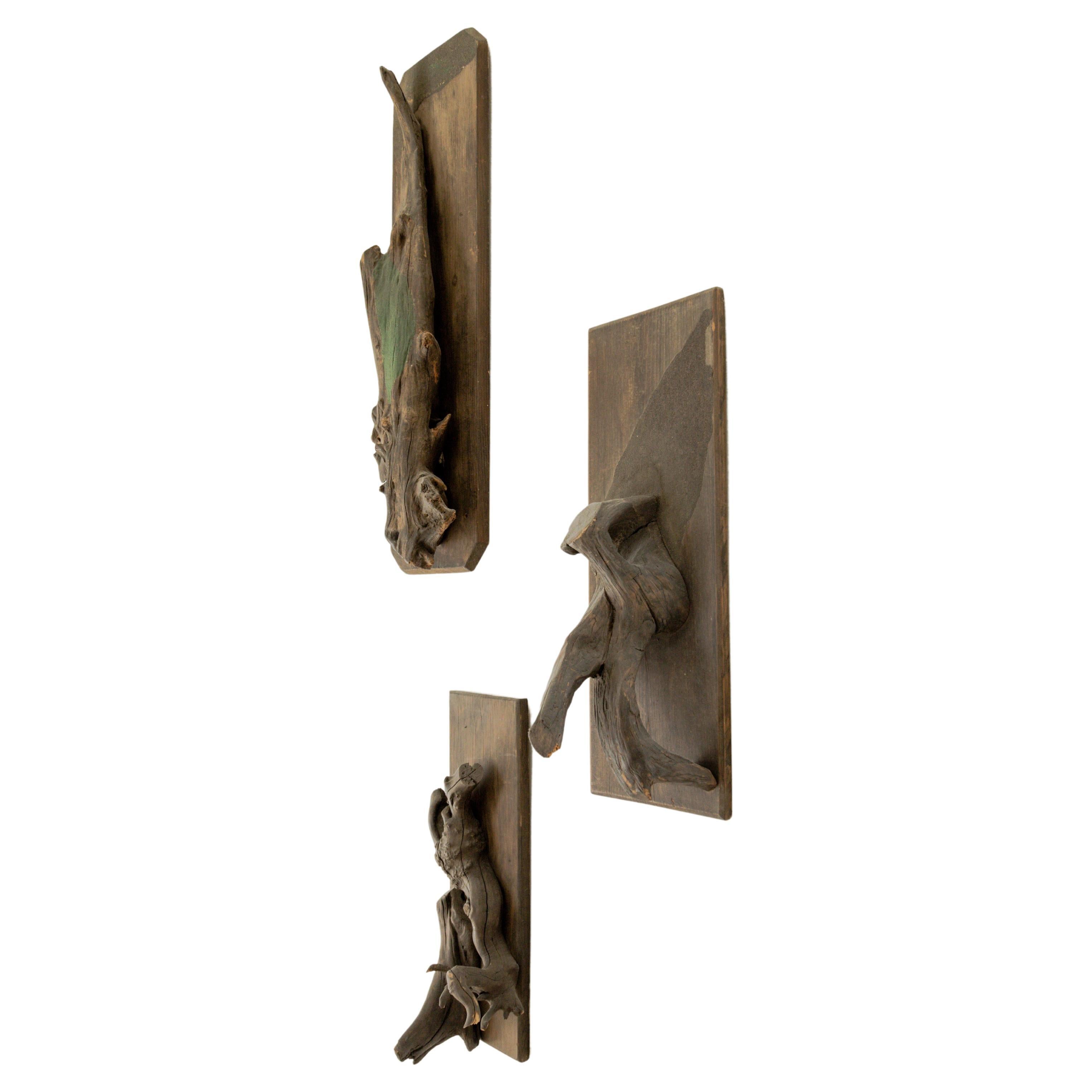 Sculptural Taxidermy Mounts For Sale