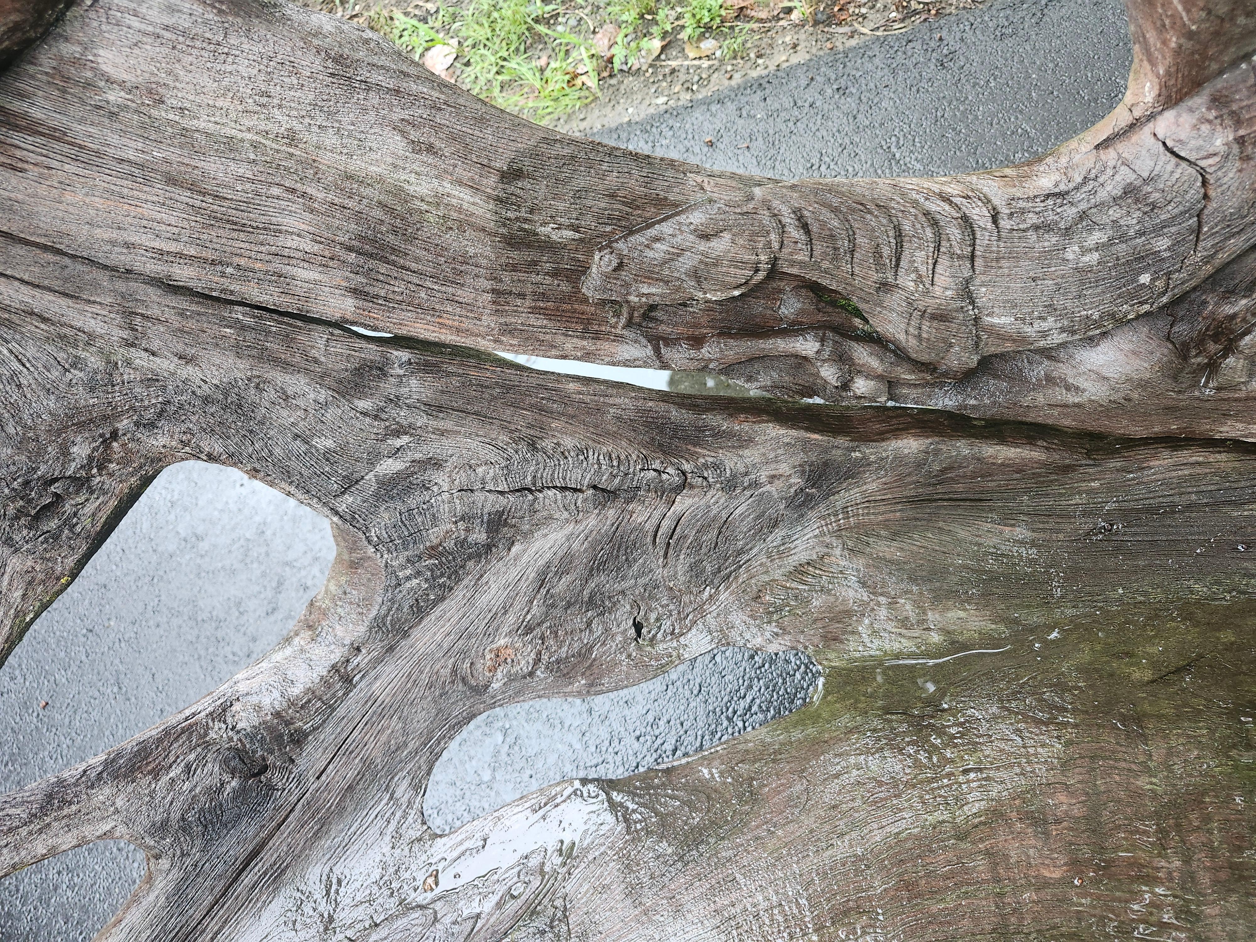 Panchina da giardino scultorea in teak con cavalli in corsa scolpiti in vendita 3