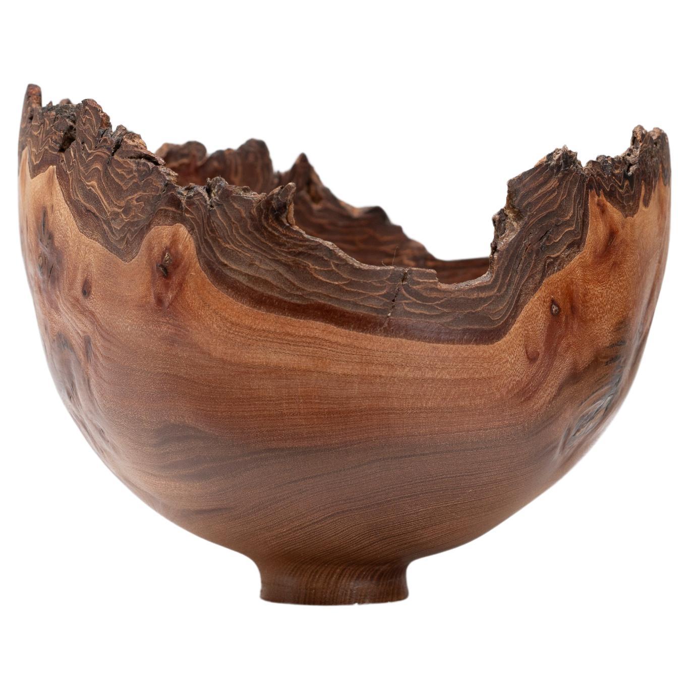 Sculptural Turned Wooden Bowl by Master Craftsman Bert Marsh 1990s