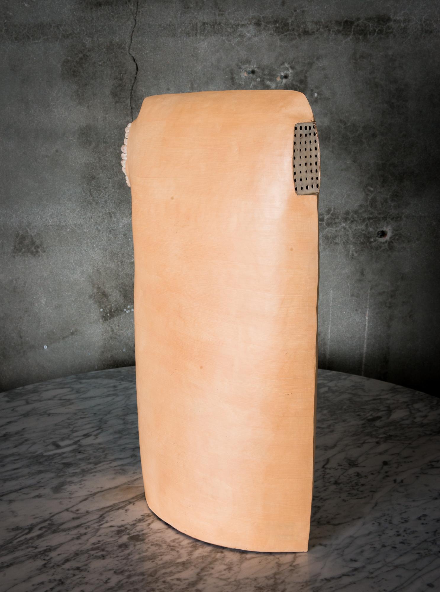 A tall earthenware painted sculptural vessel by Meredith Brickell.