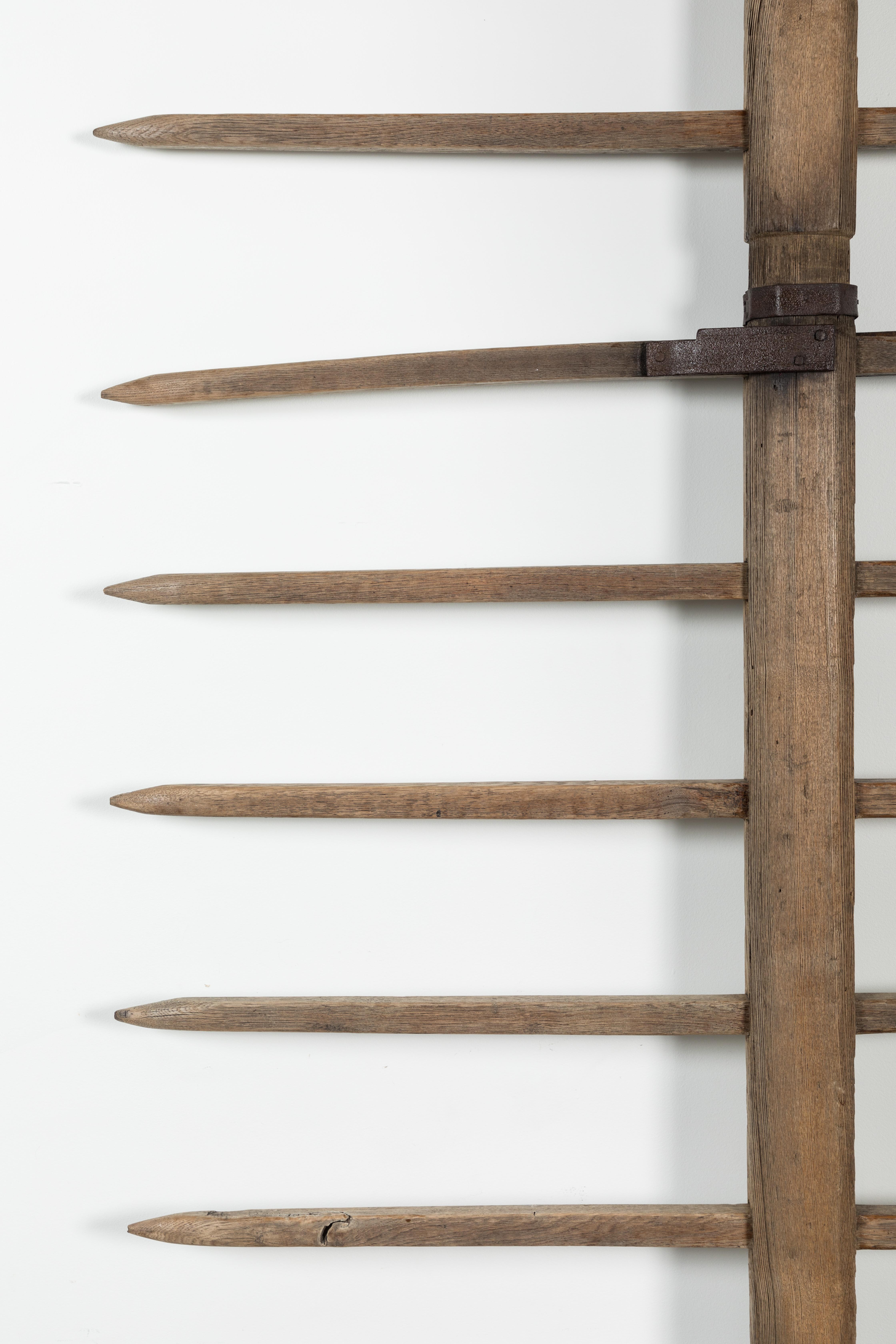 Skulptur aus Holz und Eisen Riemen 19. Jahrhundert Landwirtschaftliche Geräte im Angebot 2