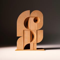 Sculptural Wood Cabinet with Embossed Doors " Selene "