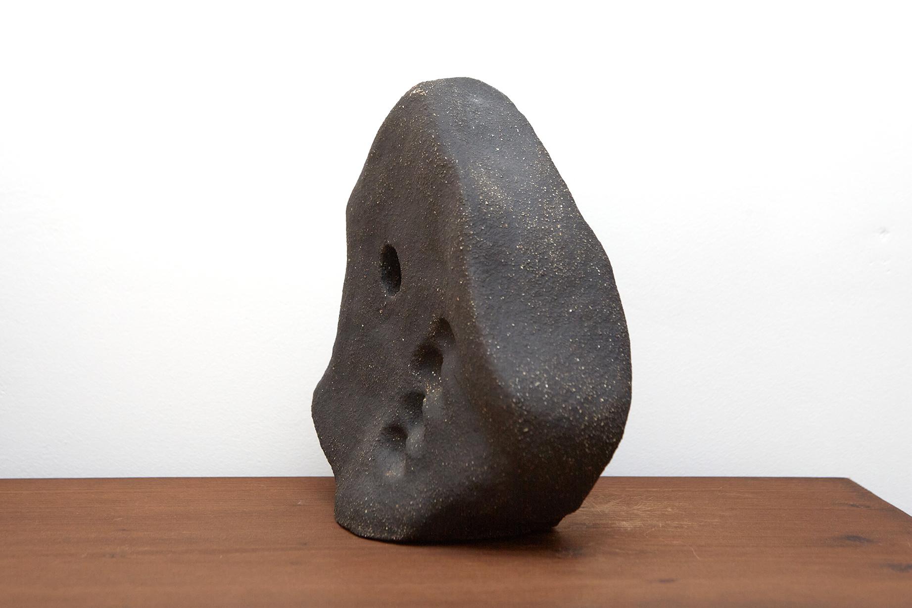 'Scultura 0001' - Scultura biomorfa in argilla cotta di David Nobaru in vendita 1