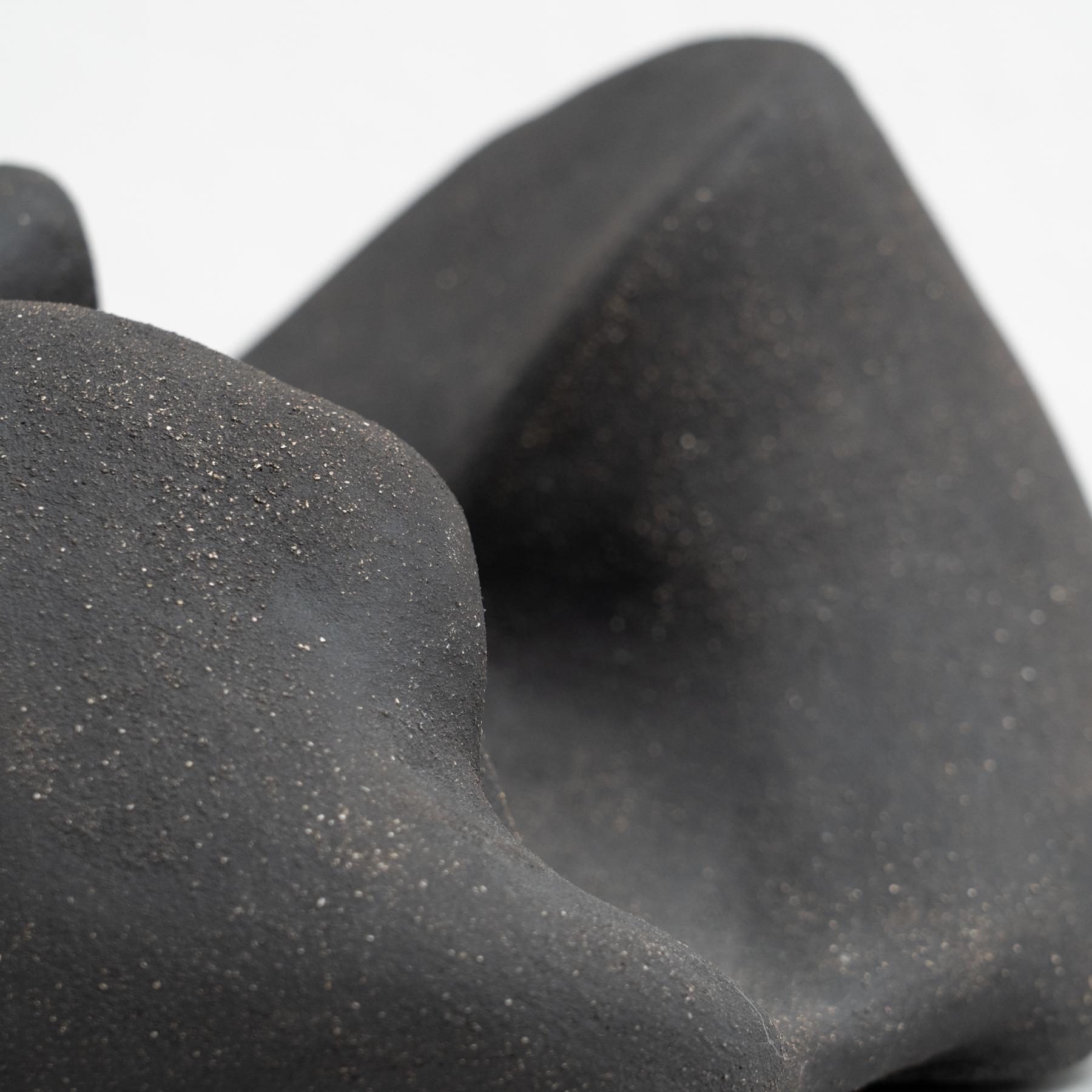 'Scultura 0002' - Scultura biomorfa in argilla cotta di David Nobaru in vendita 5