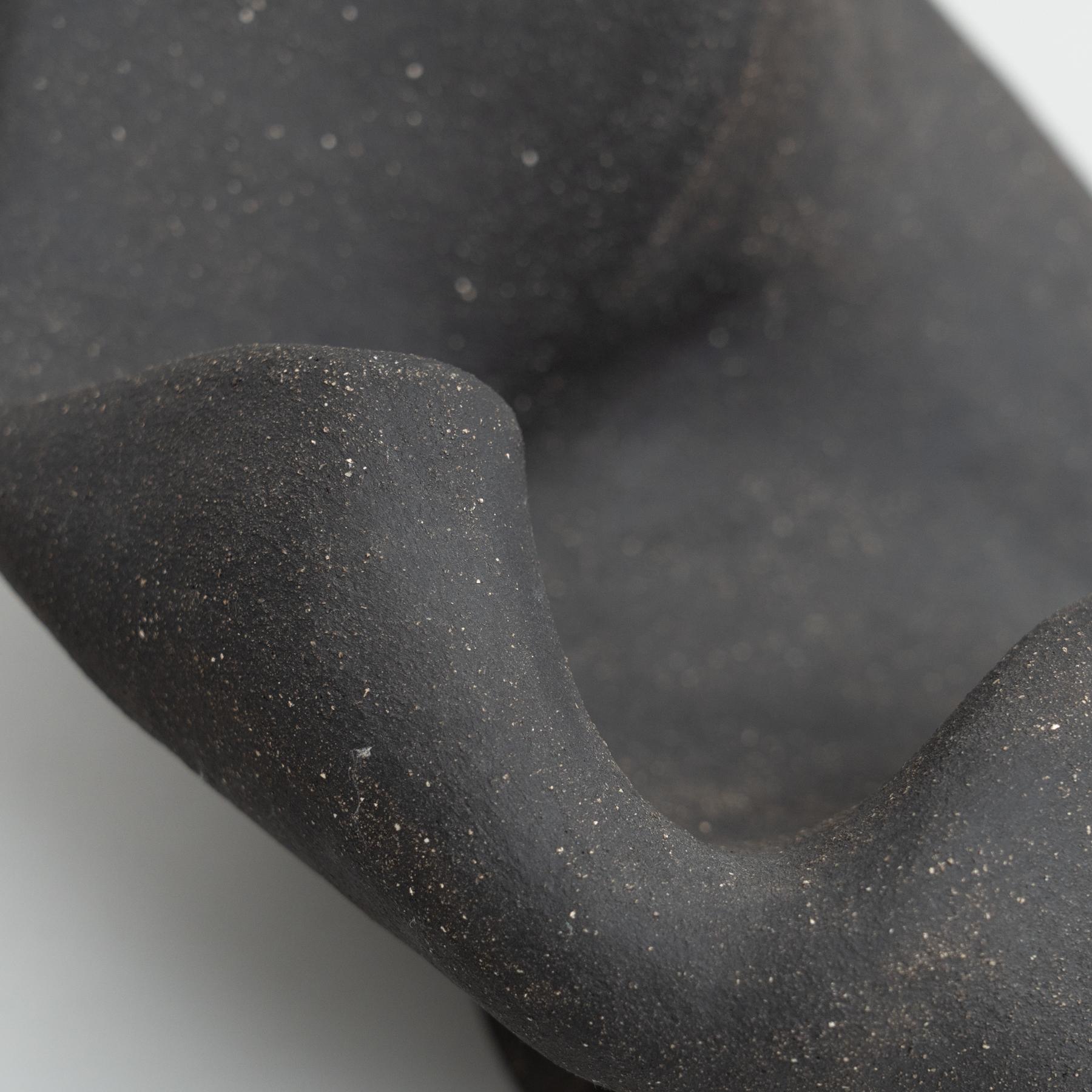 'Scultura 0002' - Scultura biomorfa in argilla cotta di David Nobaru in vendita 6