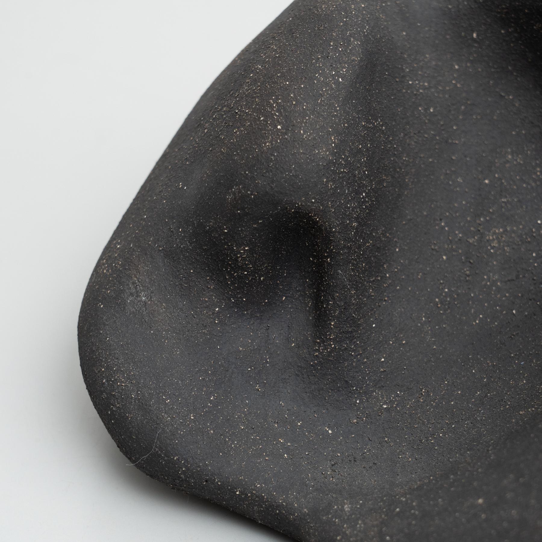 'Scultura 0002' - Scultura biomorfa in argilla cotta di David Nobaru in vendita 2
