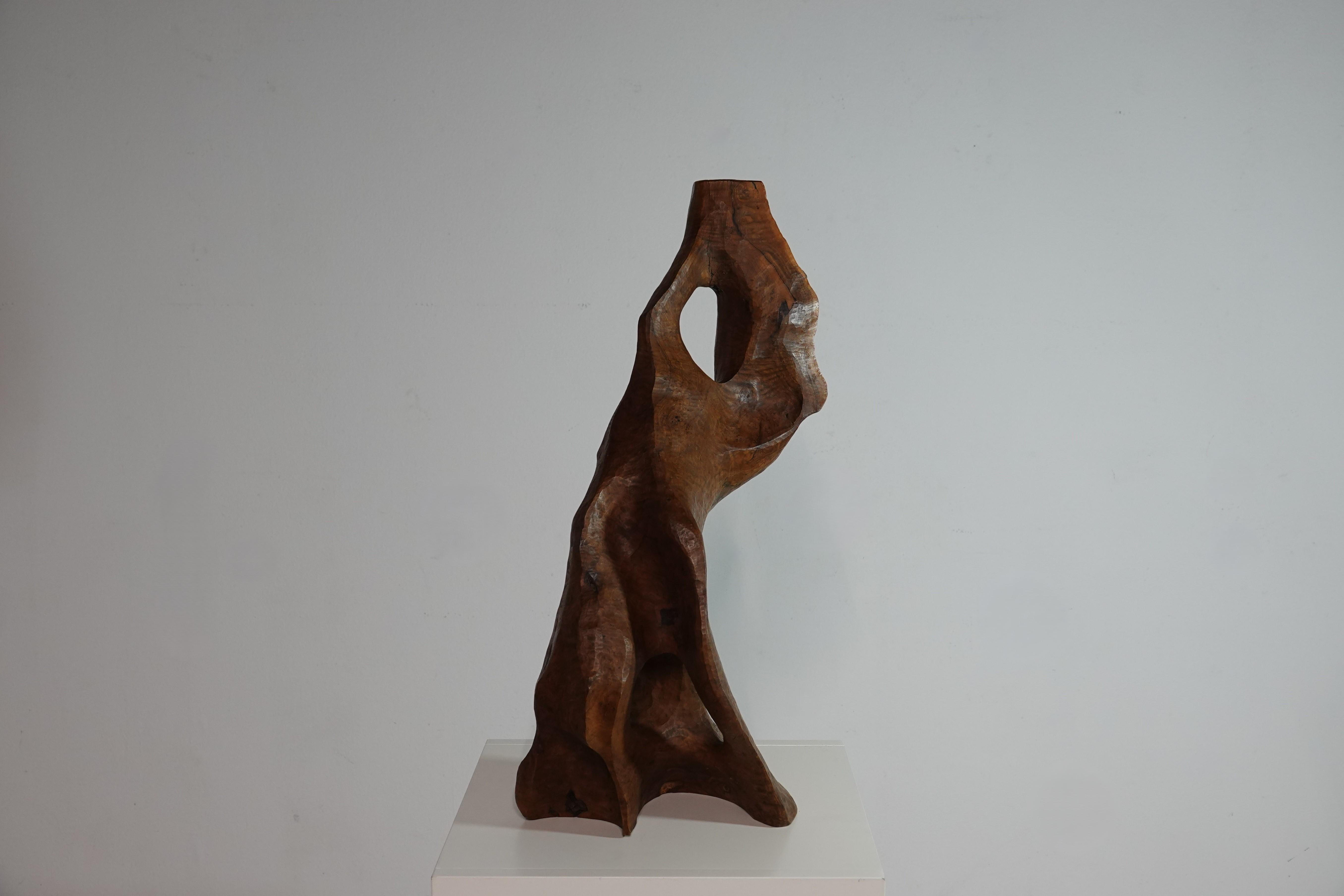 French Sculpture abstraite de forme libre en bois d’olivier France vers 1960 For Sale