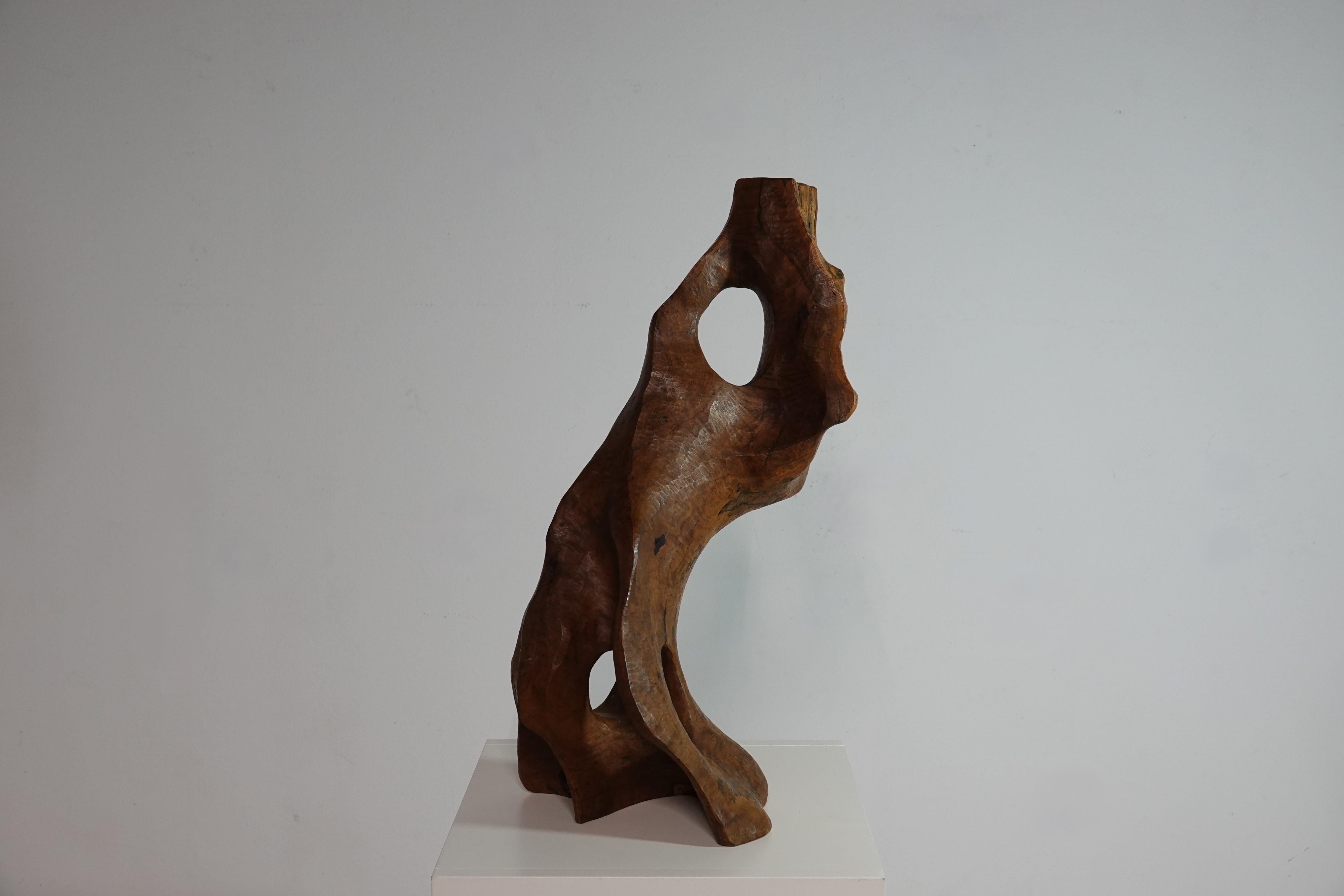 Carved Sculpture abstraite de forme libre en bois d’olivier France vers 1960 For Sale