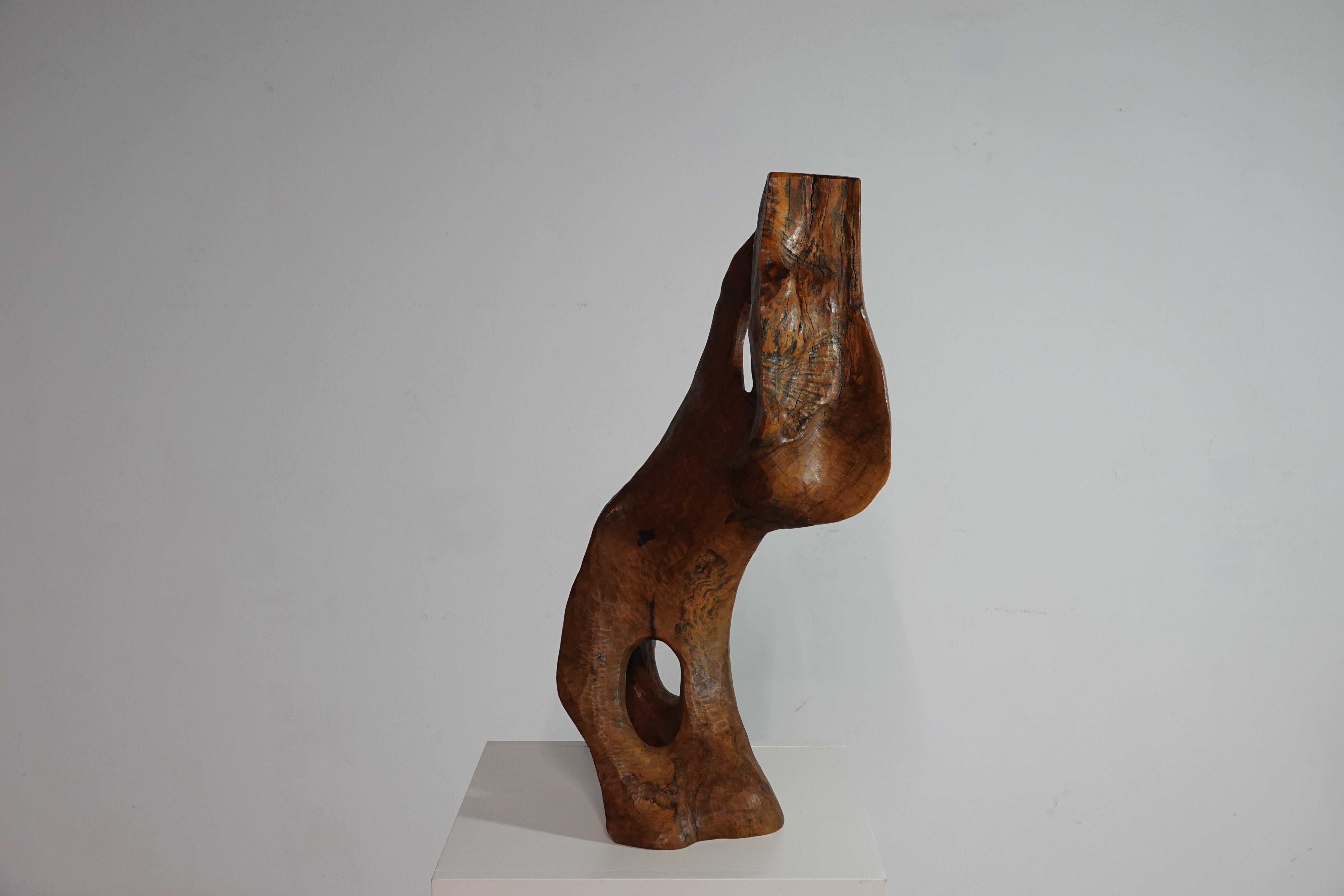 Mid-20th Century Sculpture abstraite de forme libre en bois d’olivier France vers 1960 For Sale