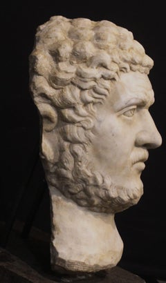 Scultura, Antica testa di Caracalla, scultura in marmo, H73 cm