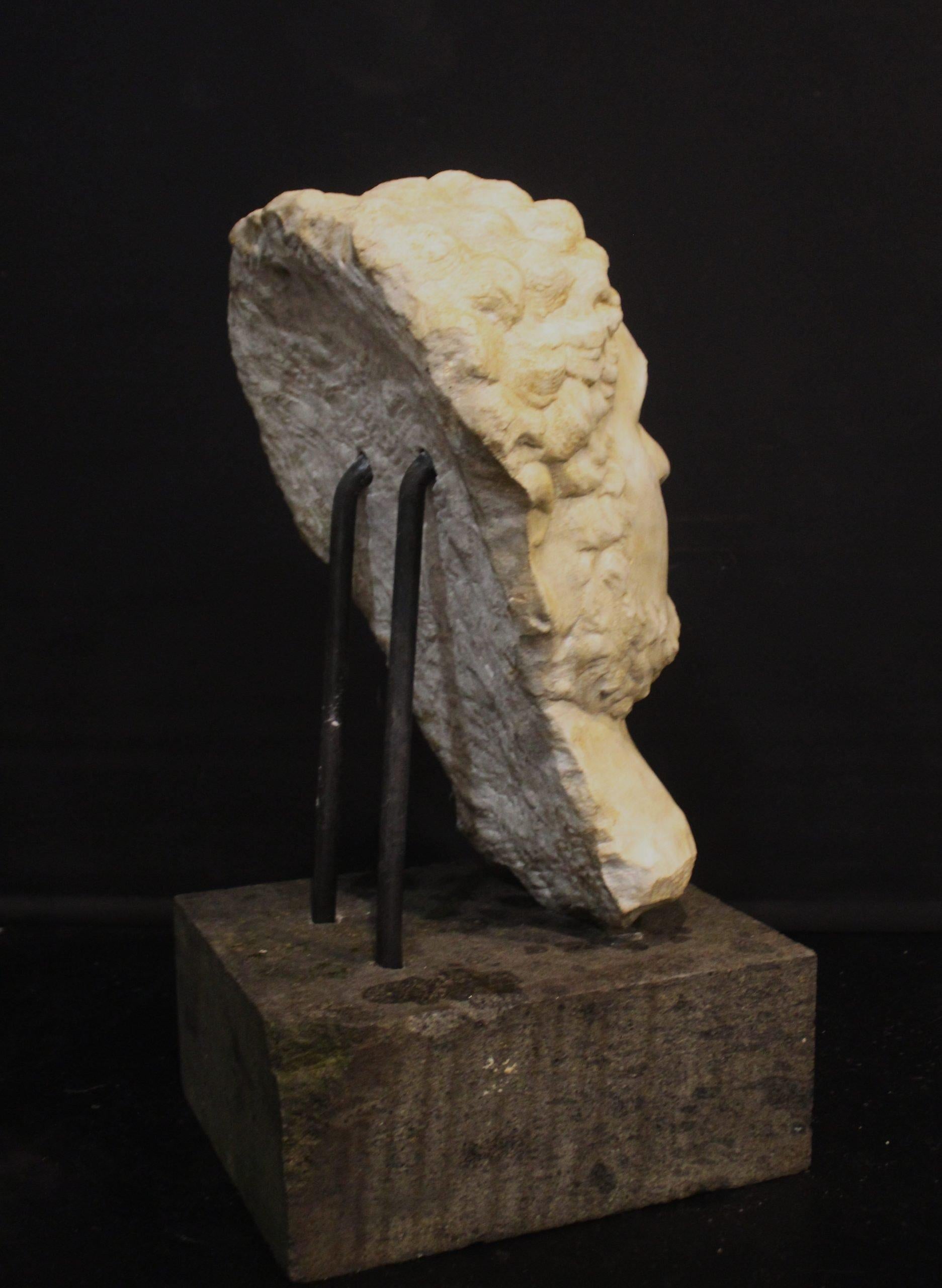 Escultura, Antigua cabeza de Caracalla, escultura de mármol, H.73 m en Bueno estado para la venta en Rome, IT