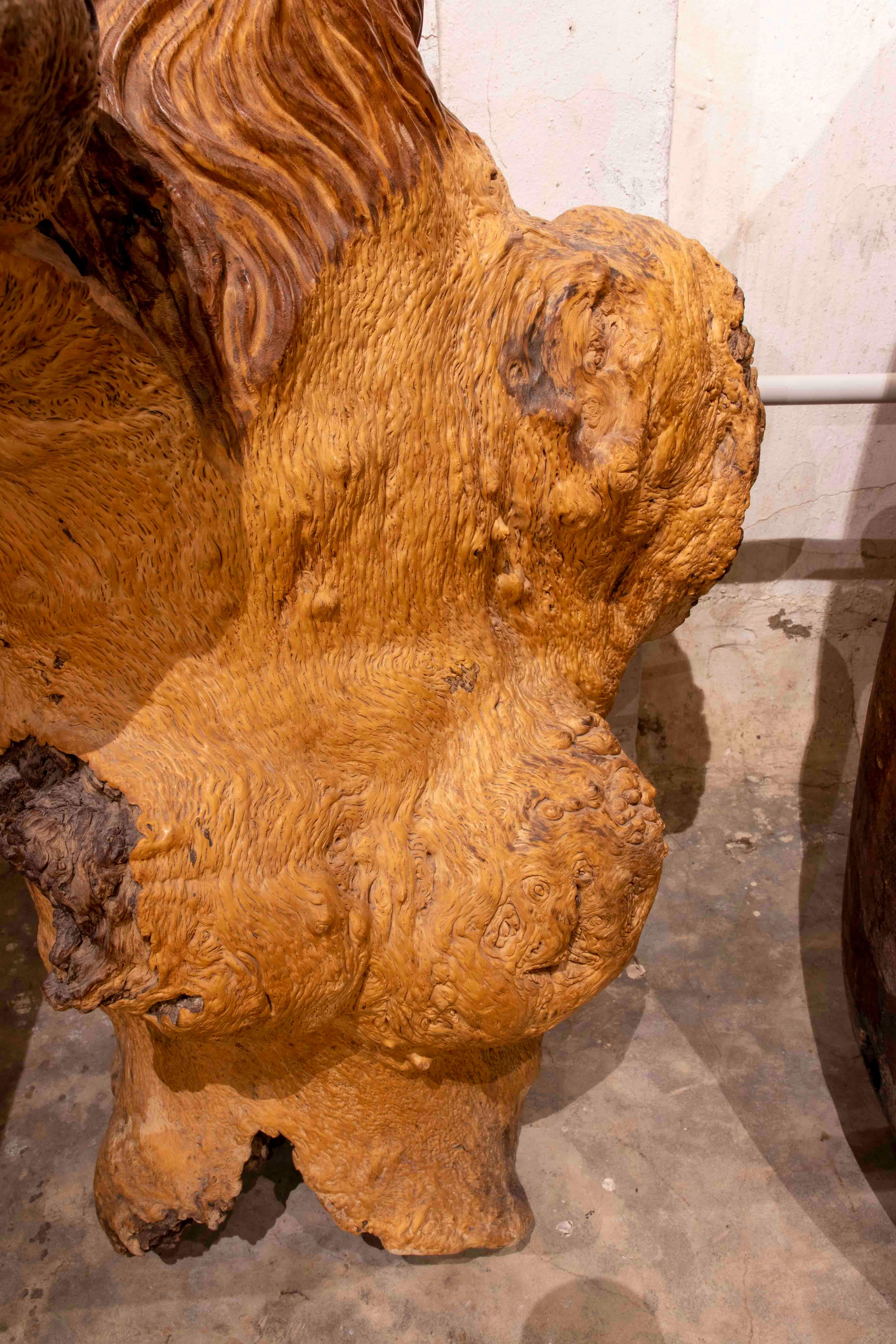 Sculpture Carved in Monk's Wood Root Taking Advantage of the Shape of the Trunk For Sale 8