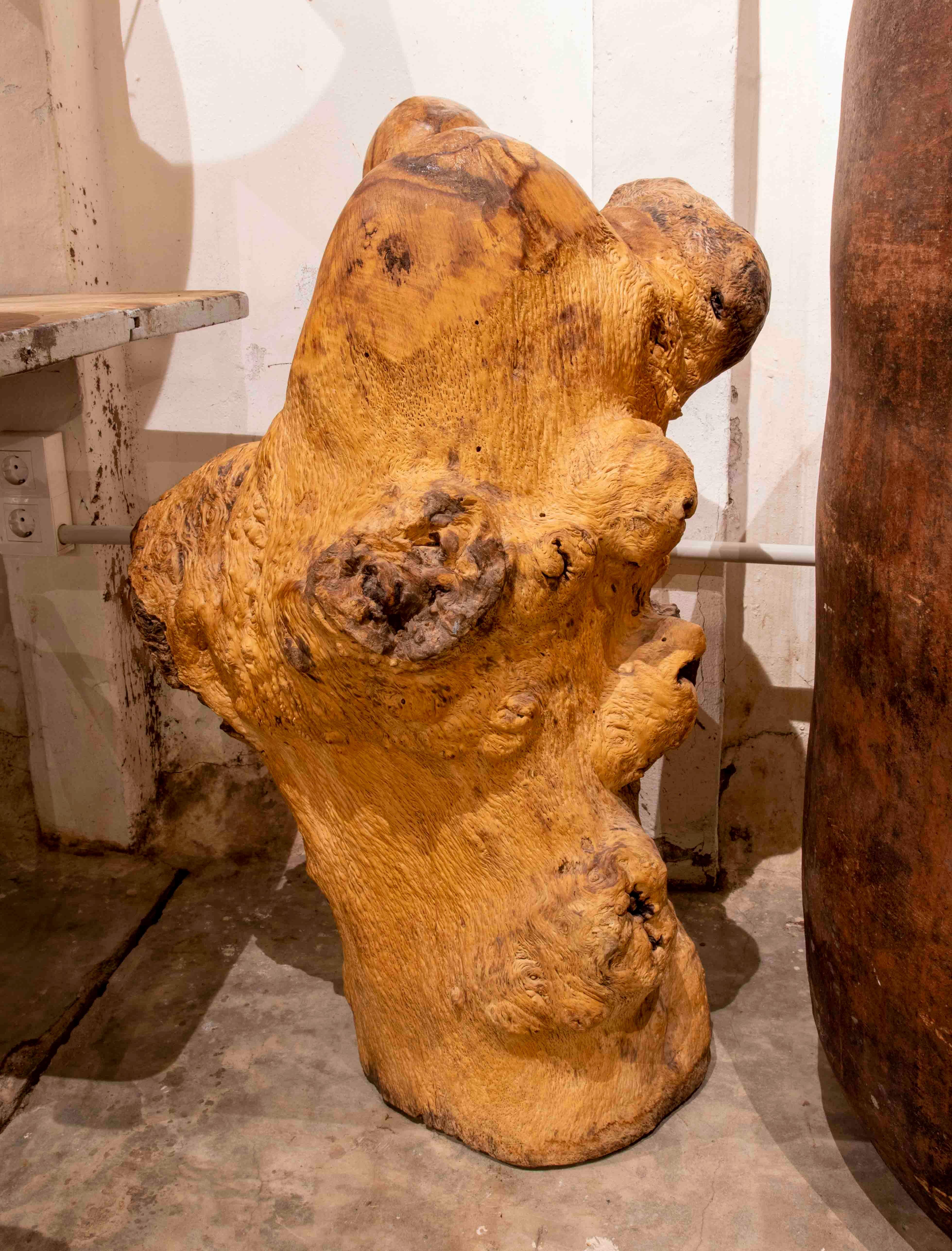 Sculpture Carved in Monk's Wood Root Taking Advantage of the Shape of the Trunk For Sale 2