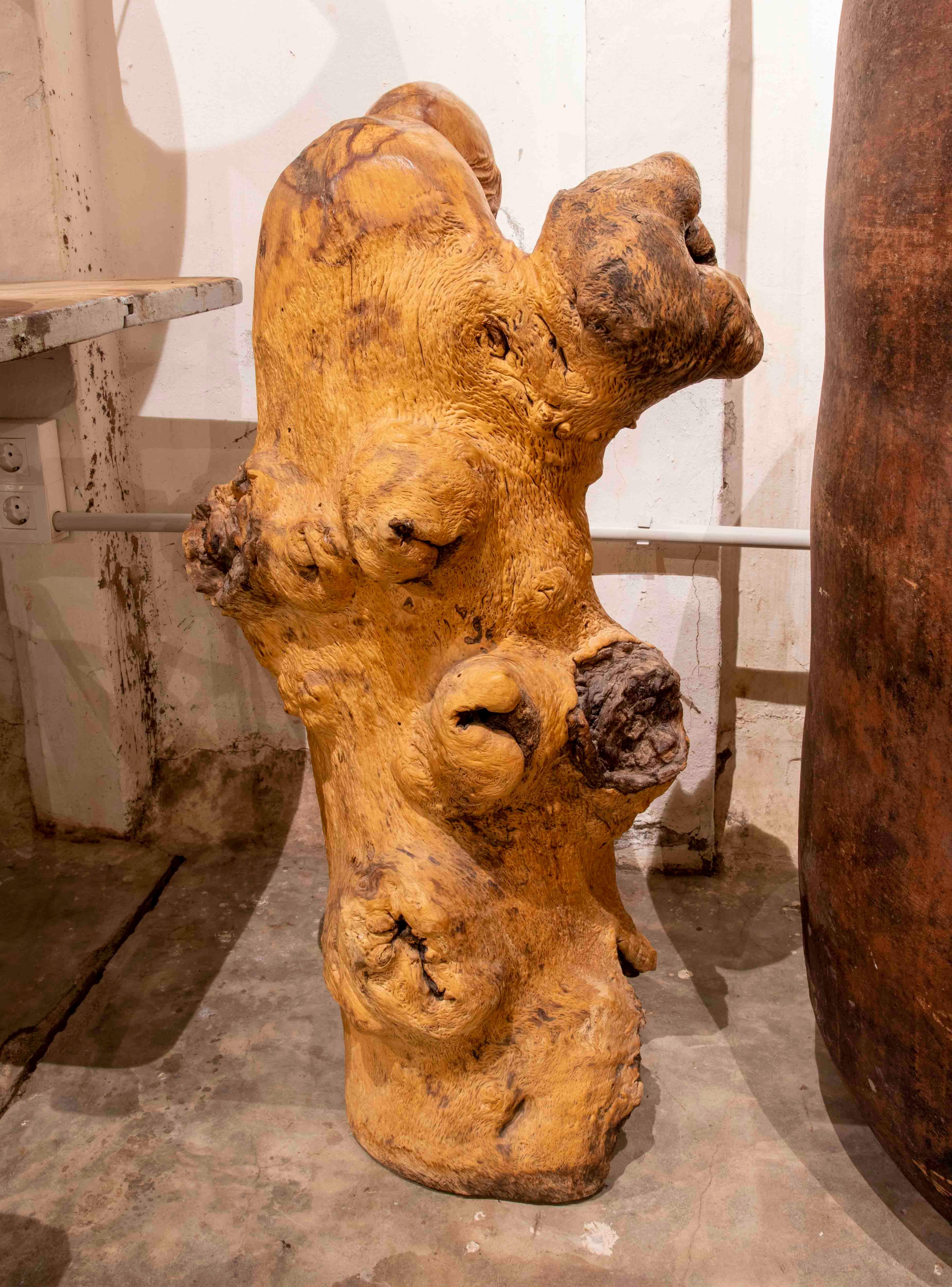 Sculpture Carved in Monk's Wood Root Taking Advantage of the Shape of the Trunk For Sale 3