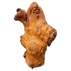 Skulptur aus geschnitzter Monk-Holzwurzel, die Form des Truhens zur Geltung bringt