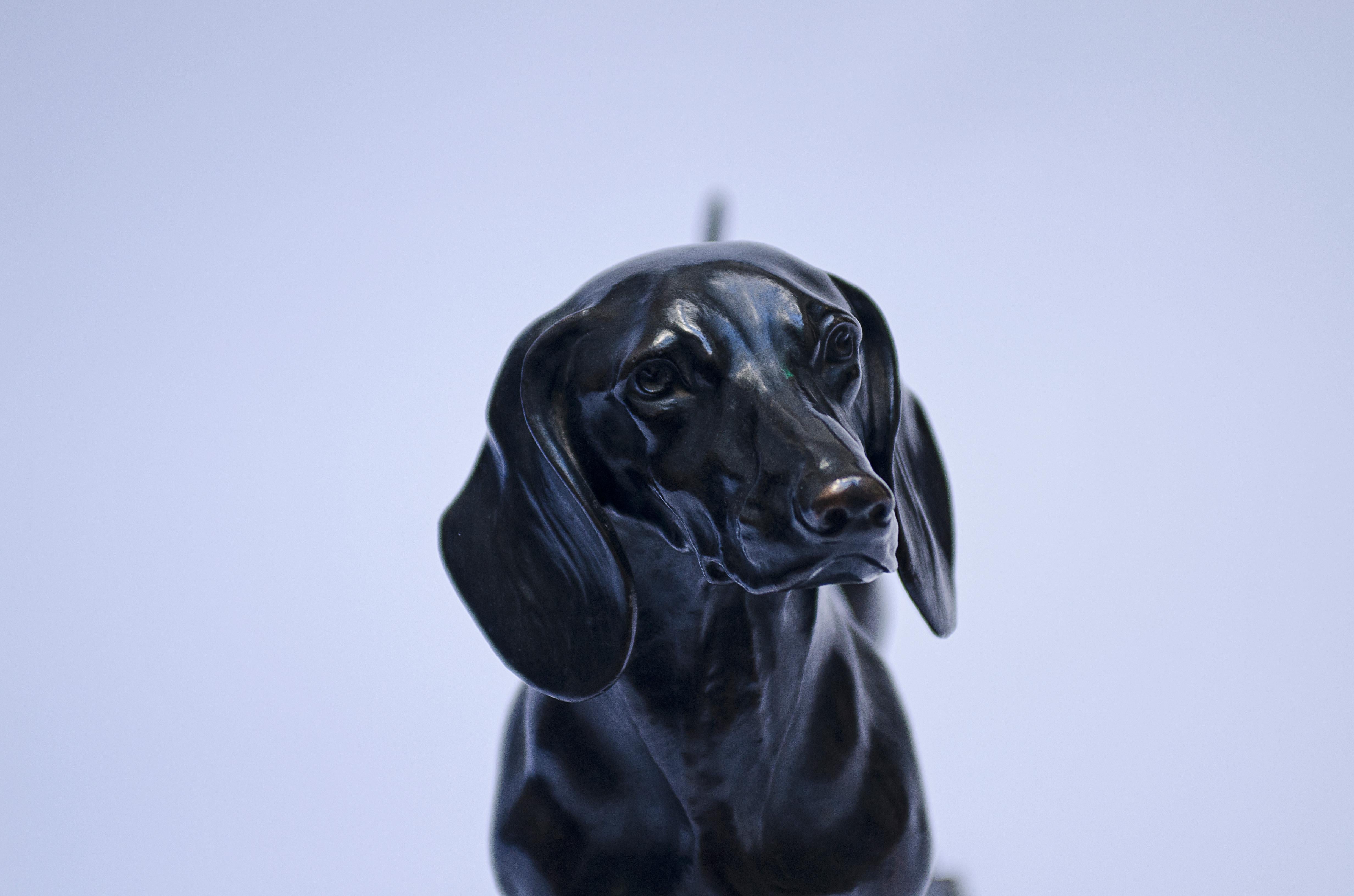 Scultura di cane 