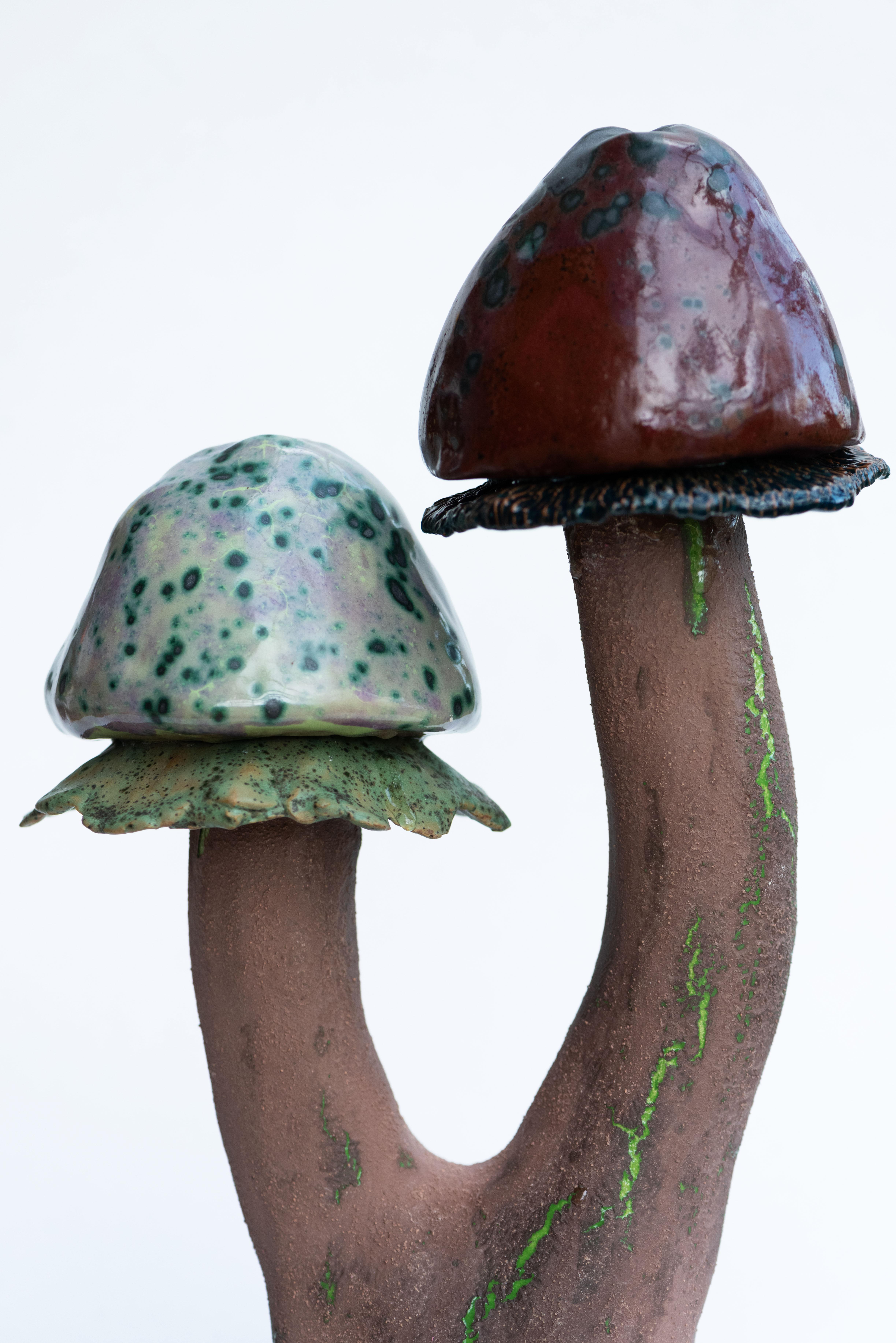 XXI secolo e contemporaneo Scultura Fungui 16 di Zanellazine Ceramics in vendita