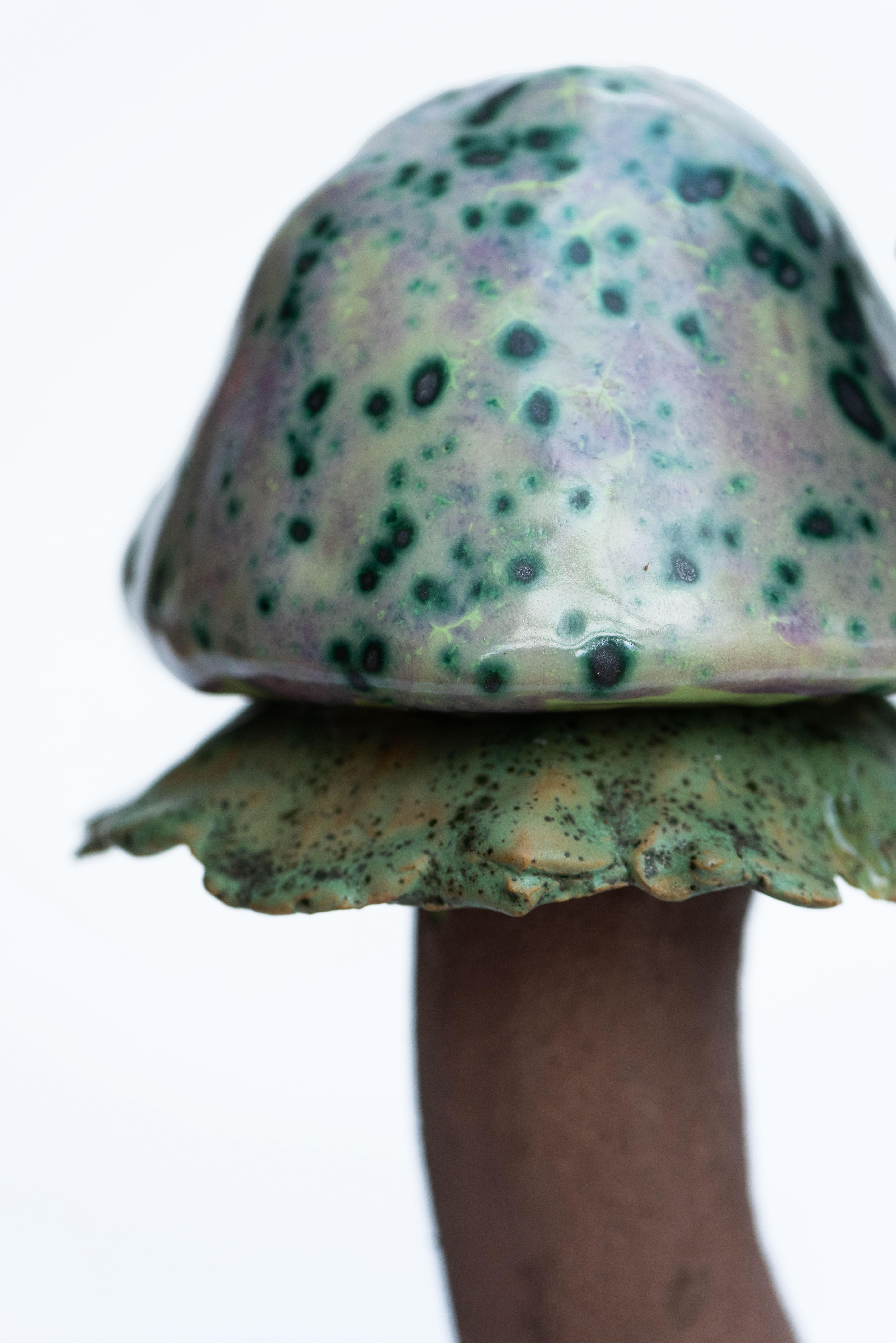 Ceramica Scultura Fungui 16 di Zanellazine Ceramics in vendita