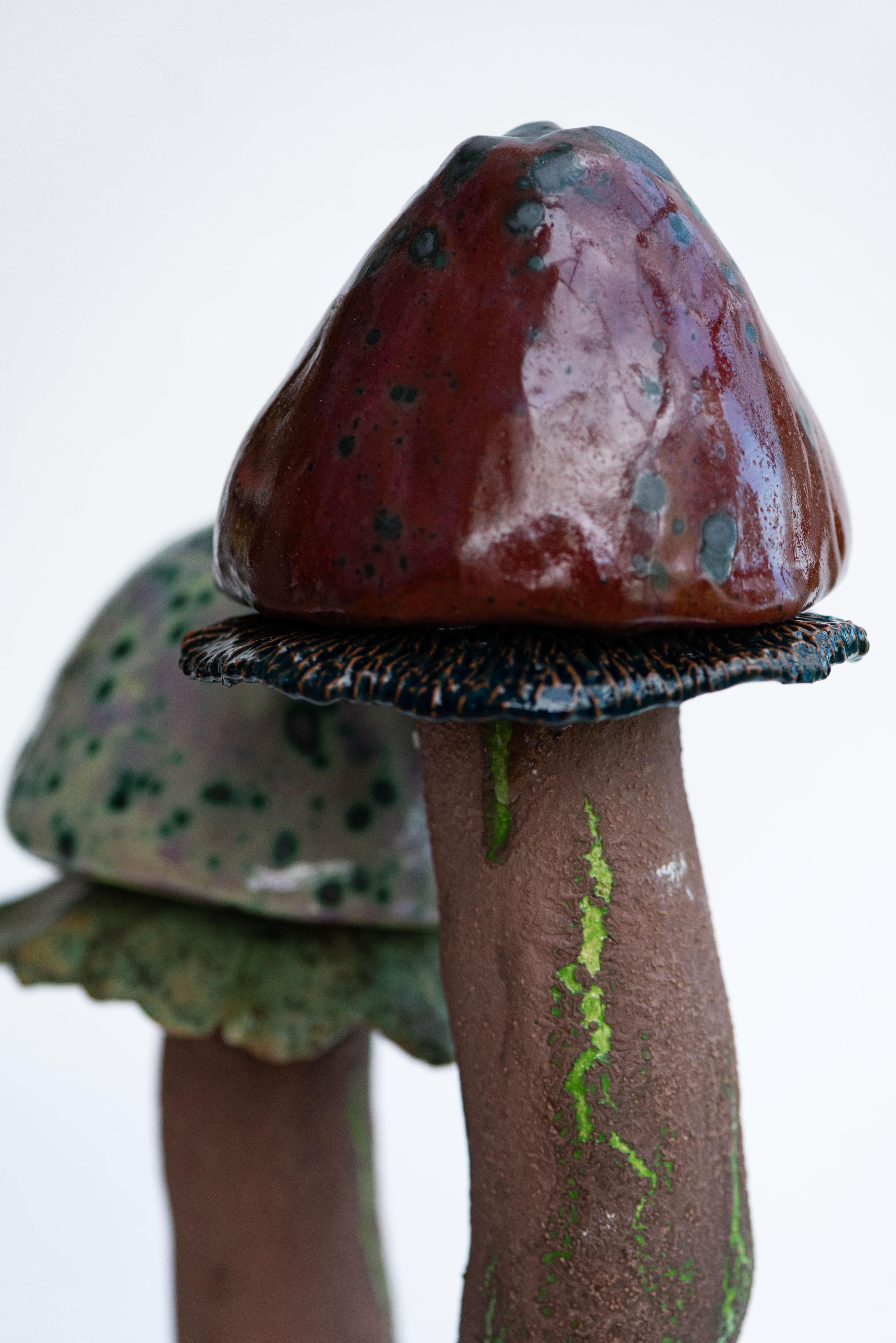 Scultura Fungui 16 di Zanellazine Ceramics in vendita 1